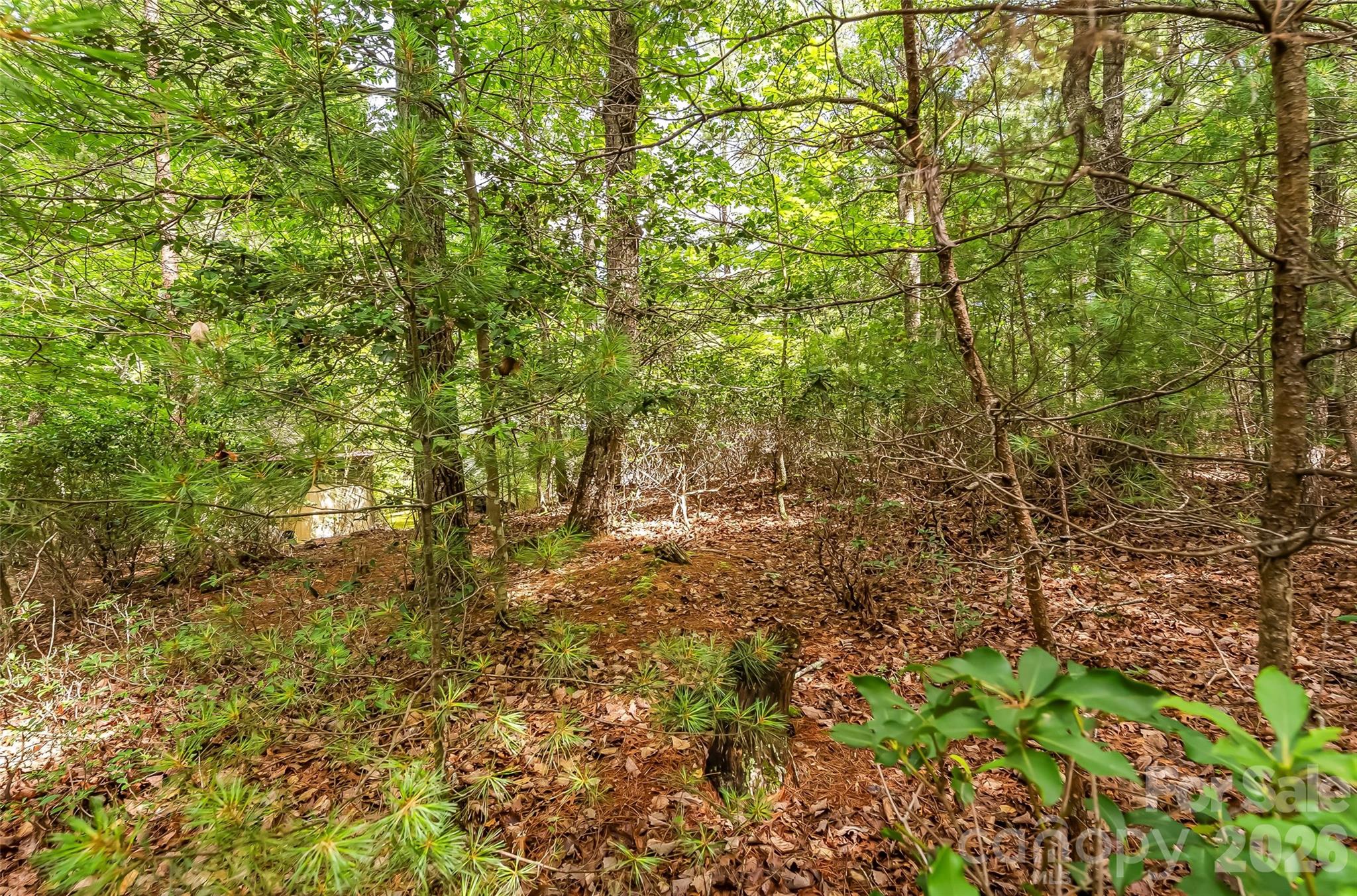 2040 Hampson Road — Morganton