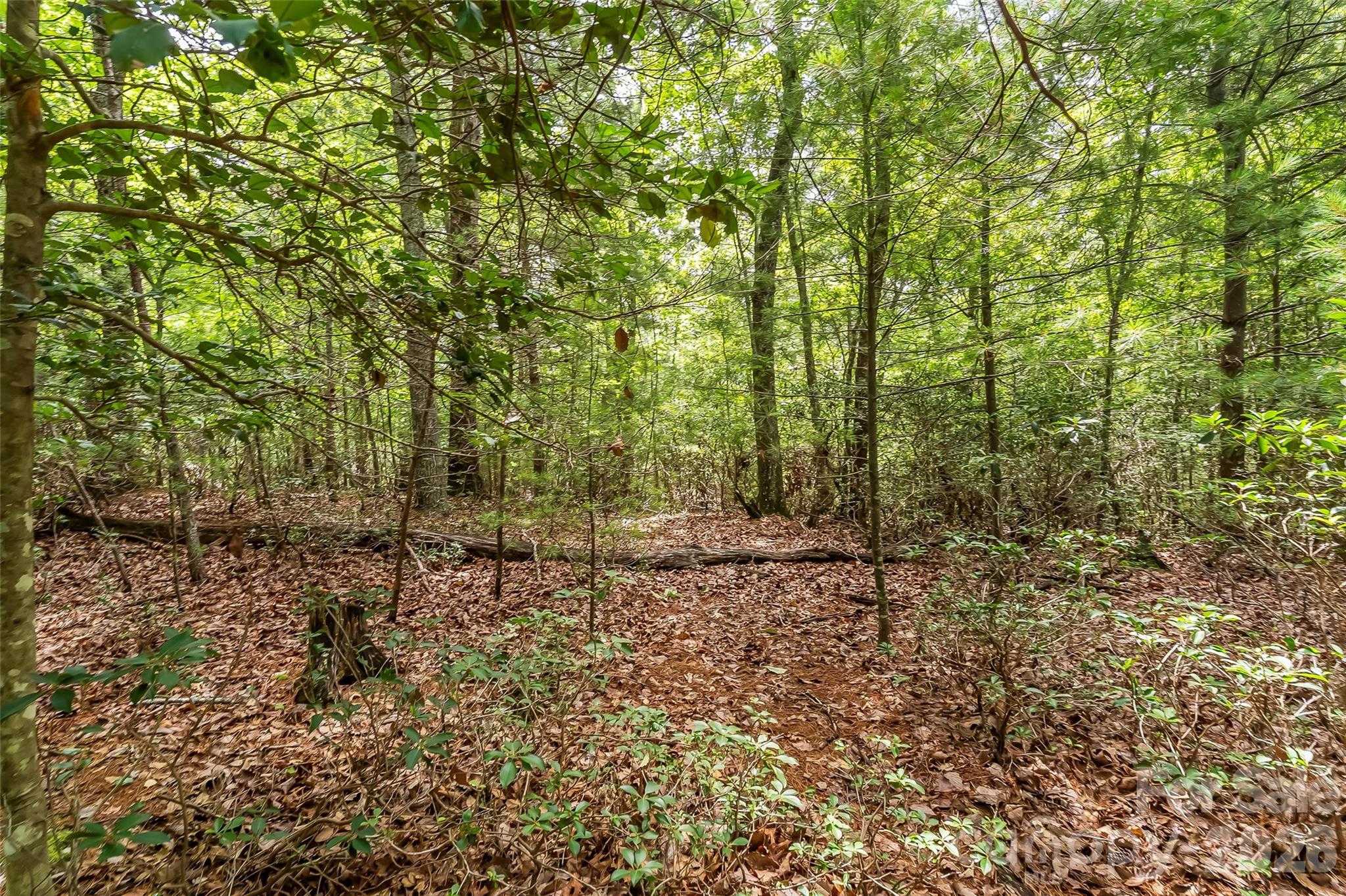 2040 Hampson Road — Morganton