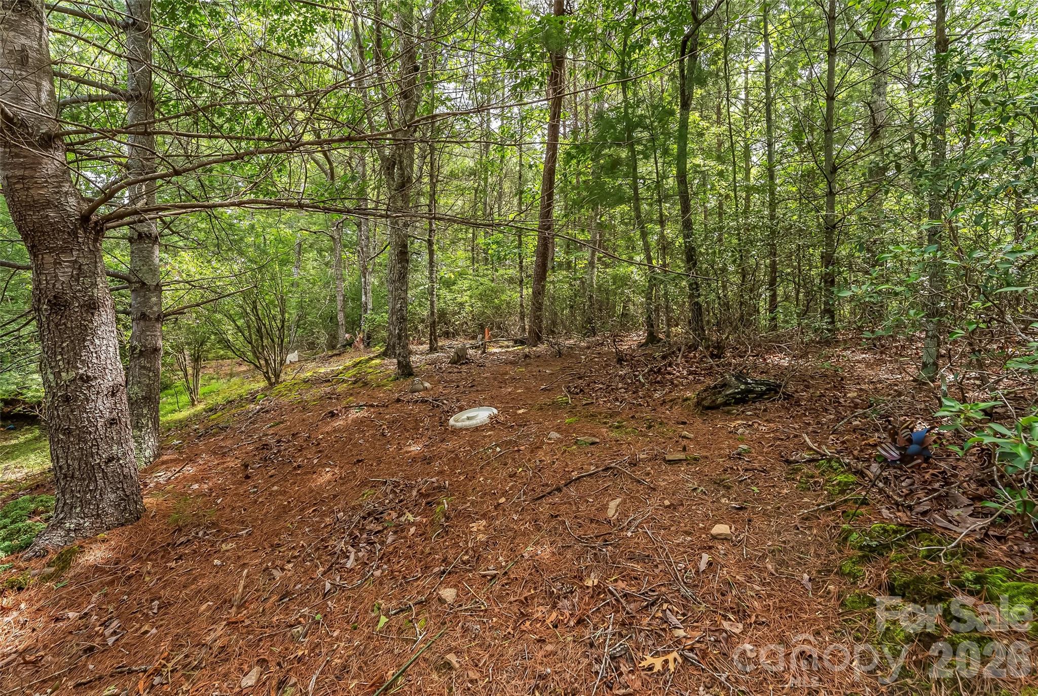2040 Hampson Road — Morganton