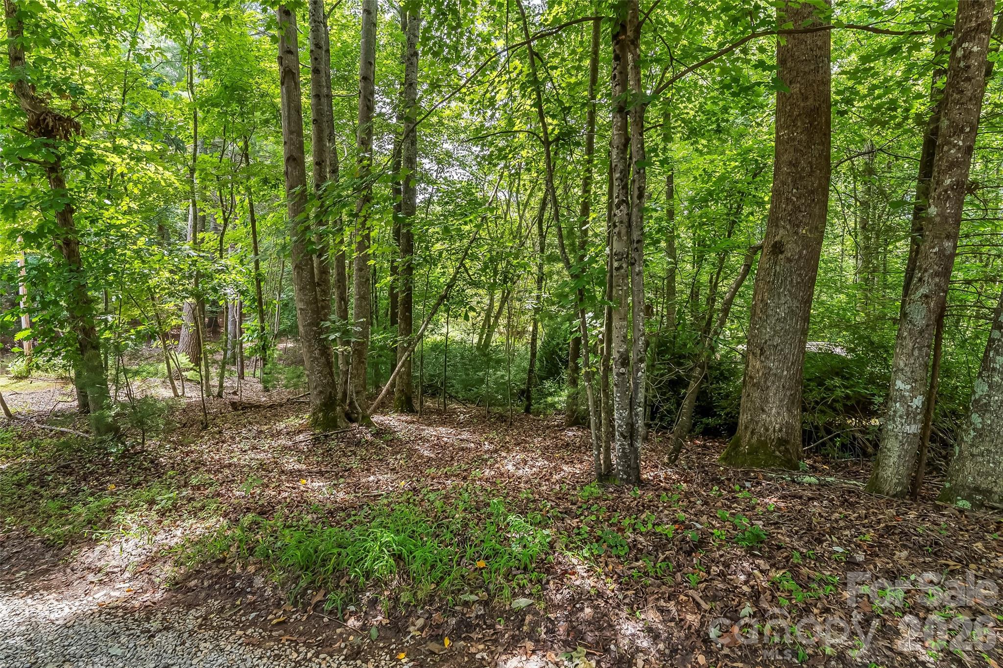 2040 Hampson Road — Morganton