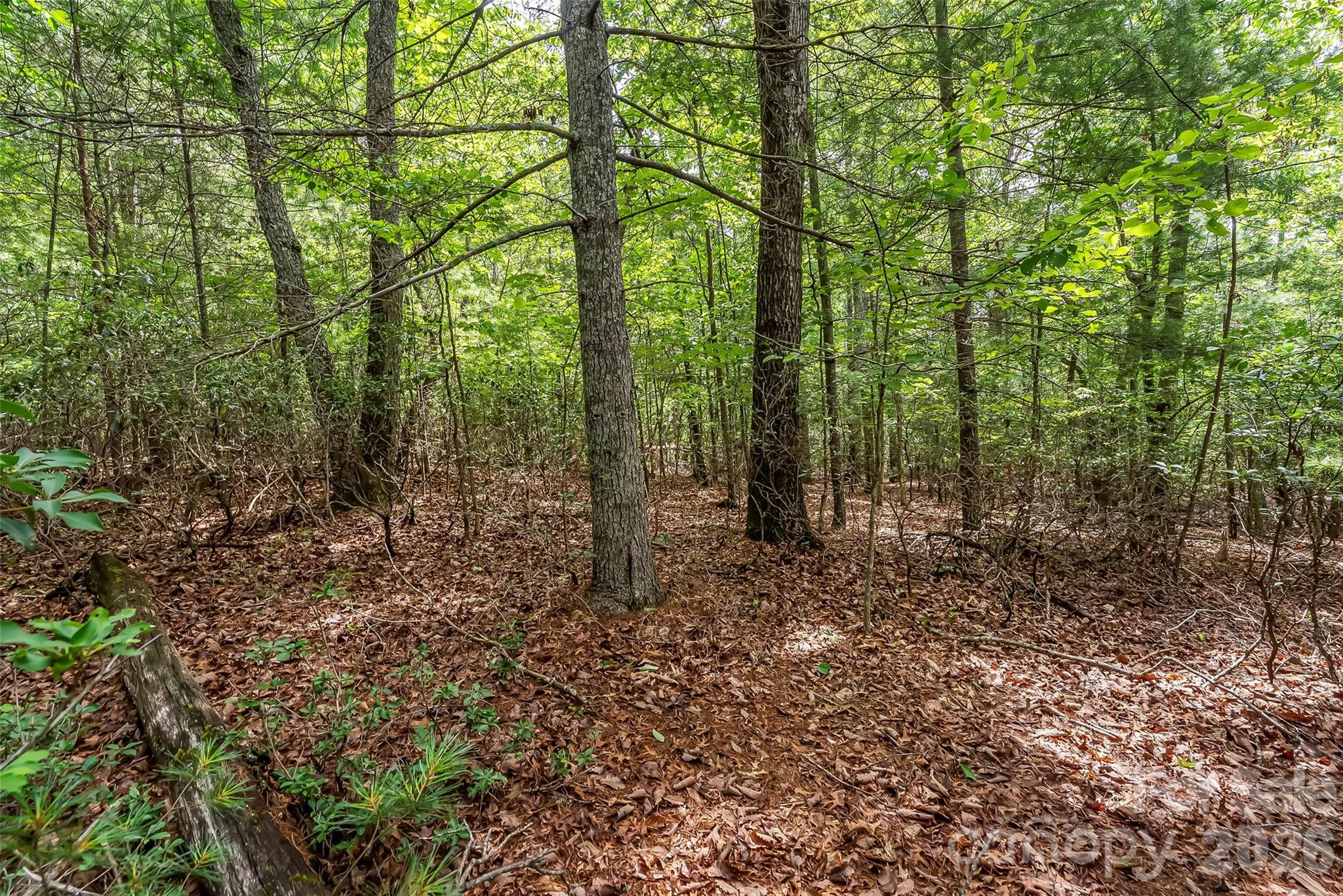 2040 Hampson Road — Morganton