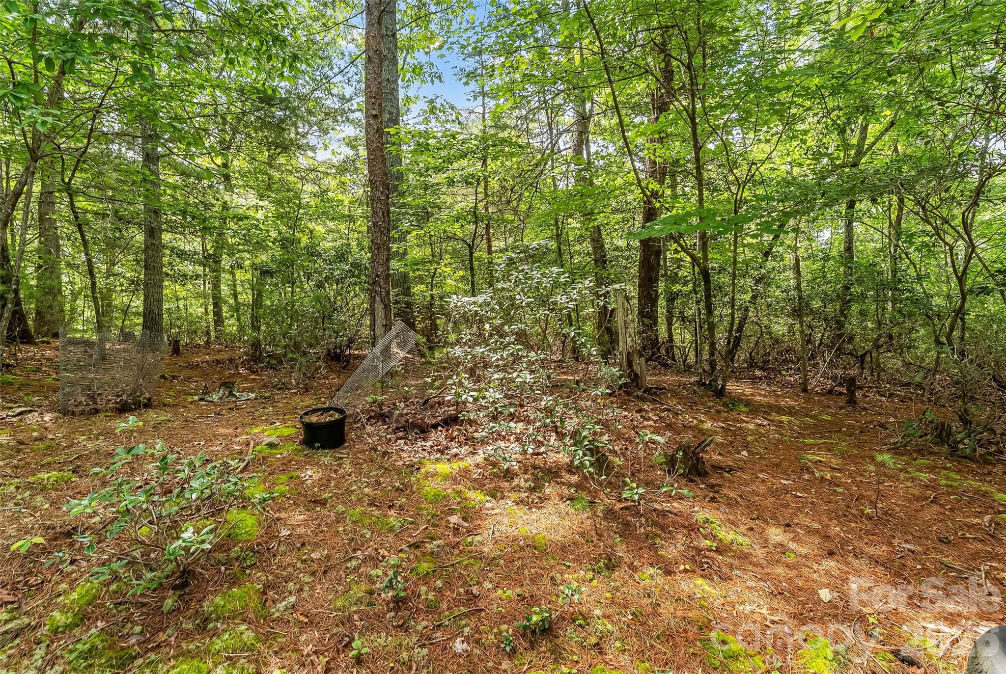 2040 Hampson Road — Morganton