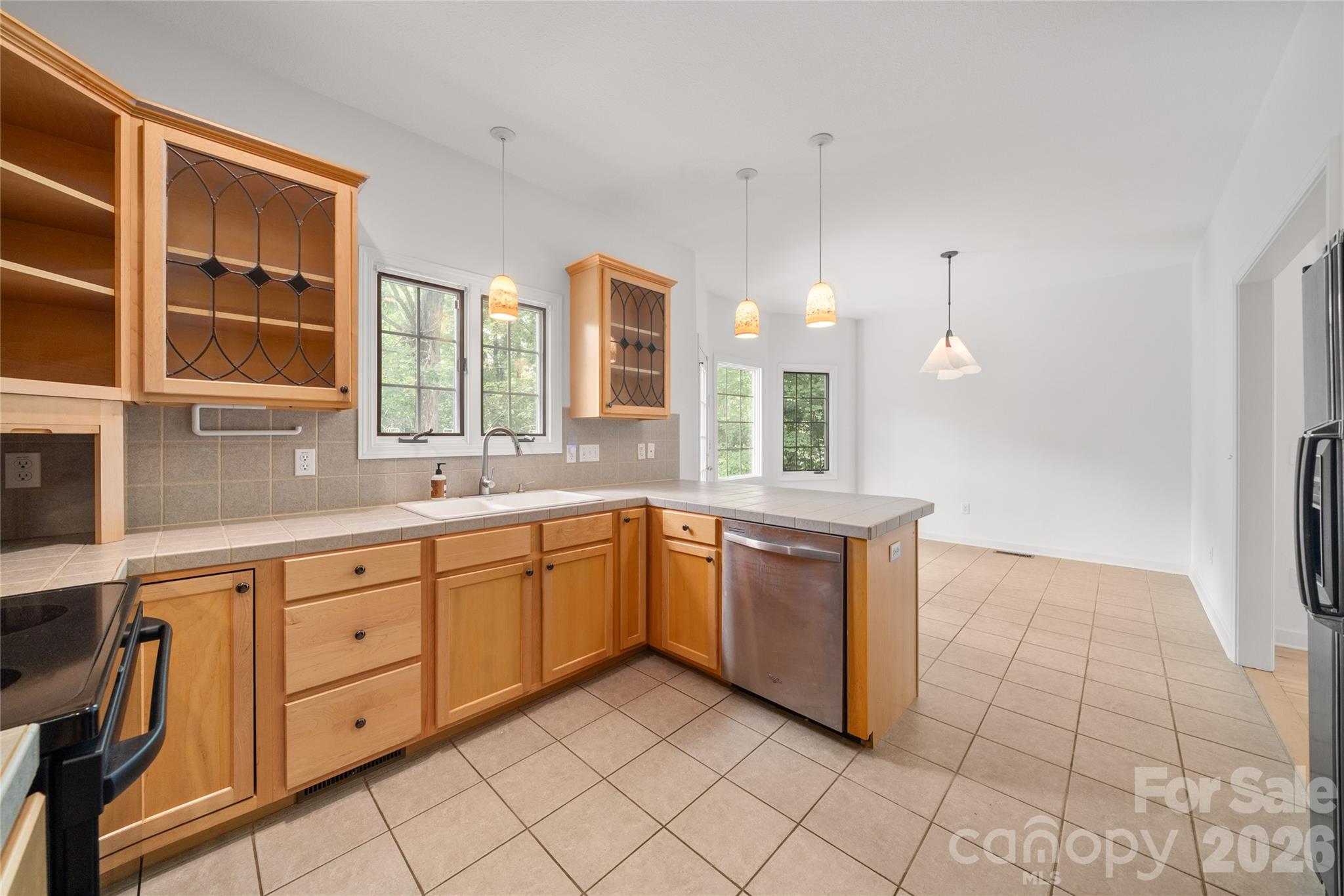 135 Buffalo Trail — Asheville