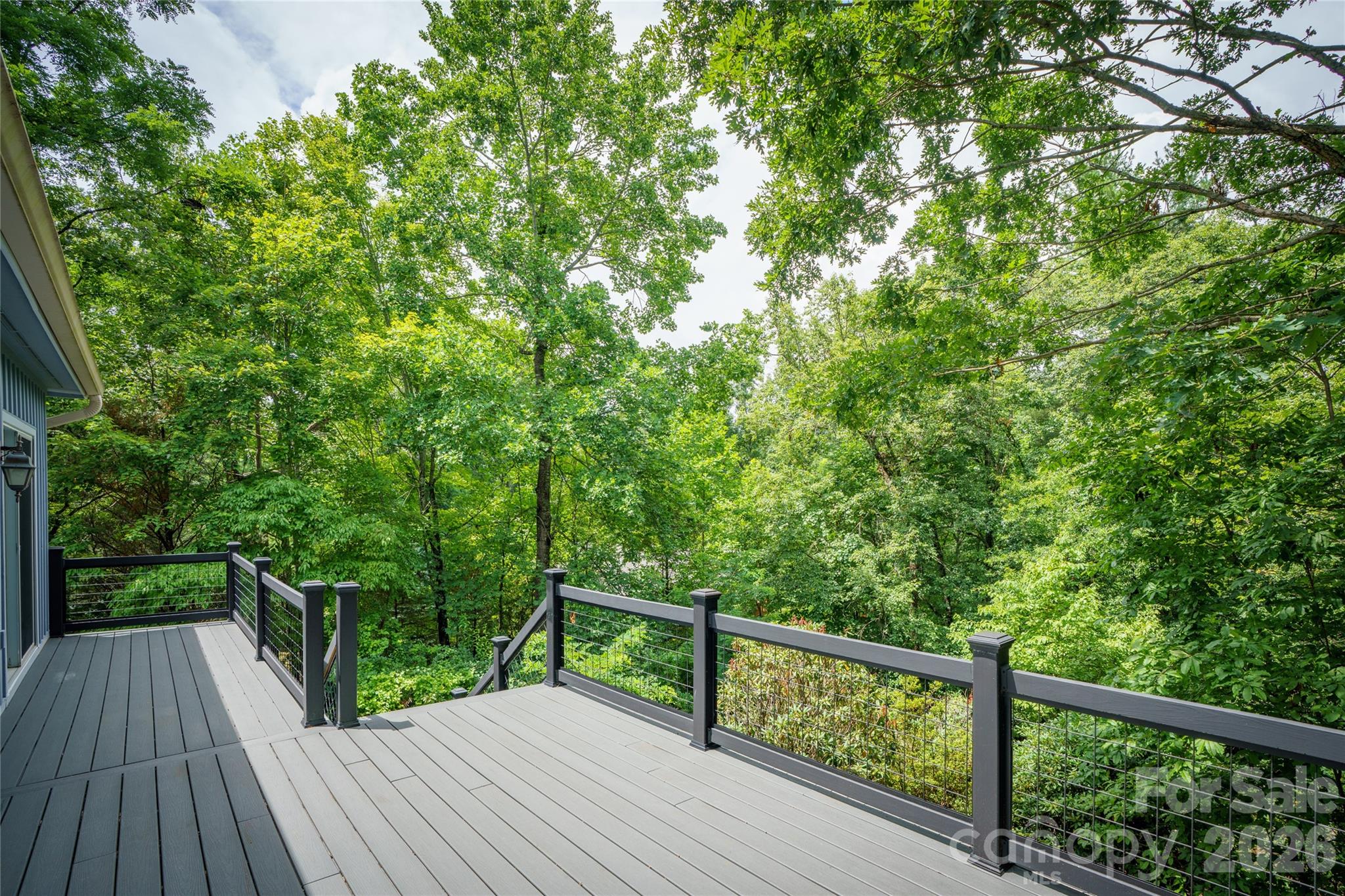 135 Buffalo Trail — Asheville