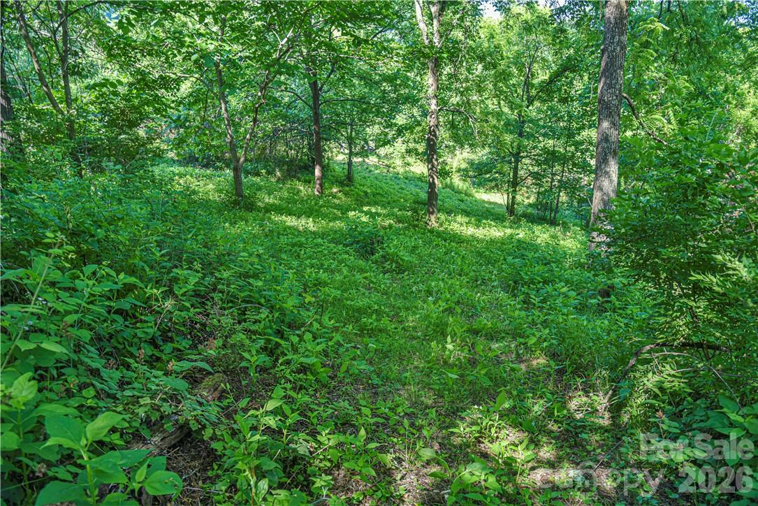 415 Weaverville Road — Asheville
