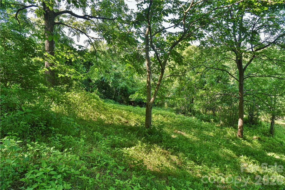415 Weaverville Road — Asheville