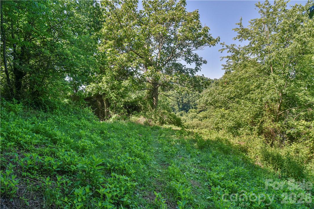 415 Weaverville Road — Asheville