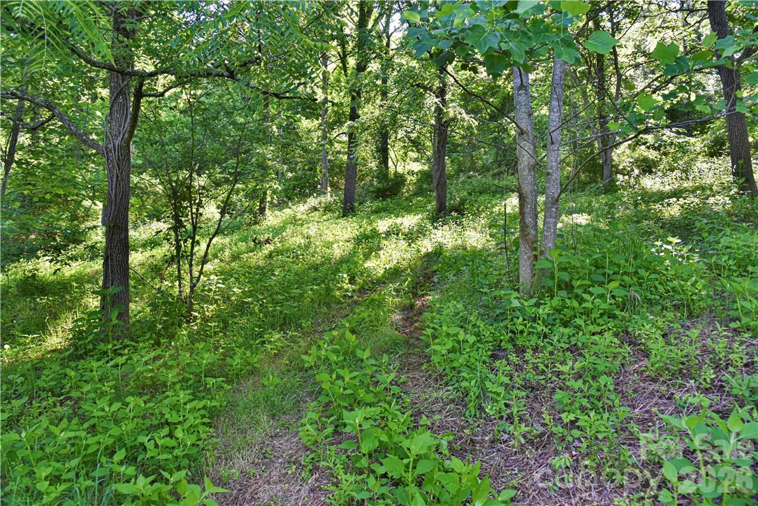 415 Weaverville Road — Asheville