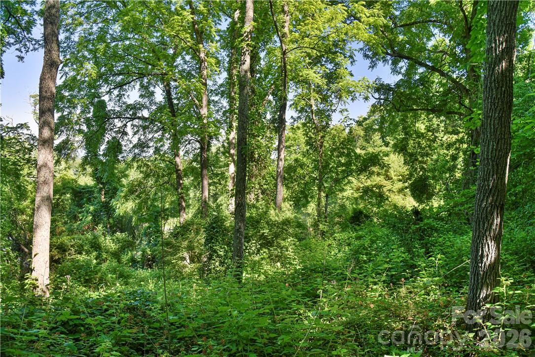 415 Weaverville Road — Asheville