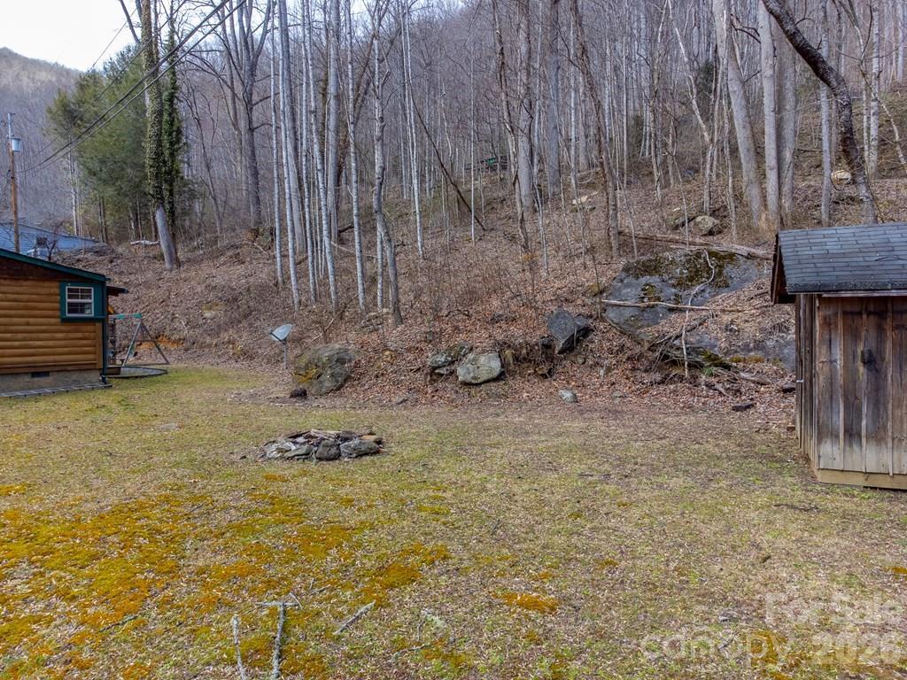 1668 Buff Creek Road — Sylva