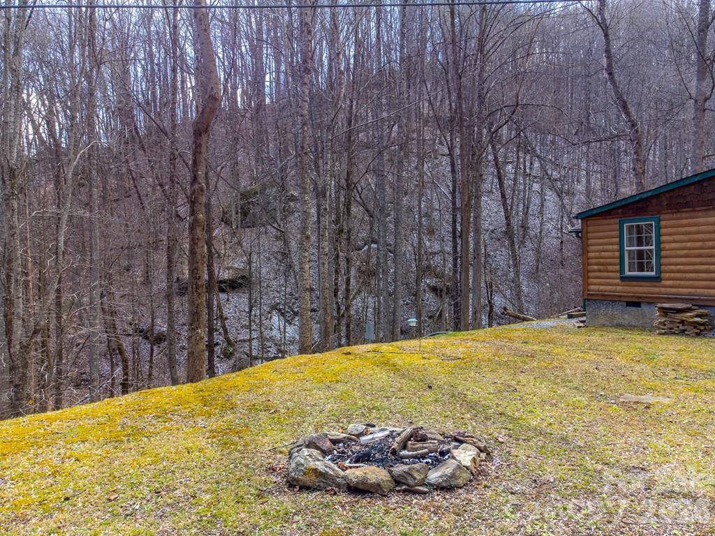 1668 Buff Creek Road — Sylva