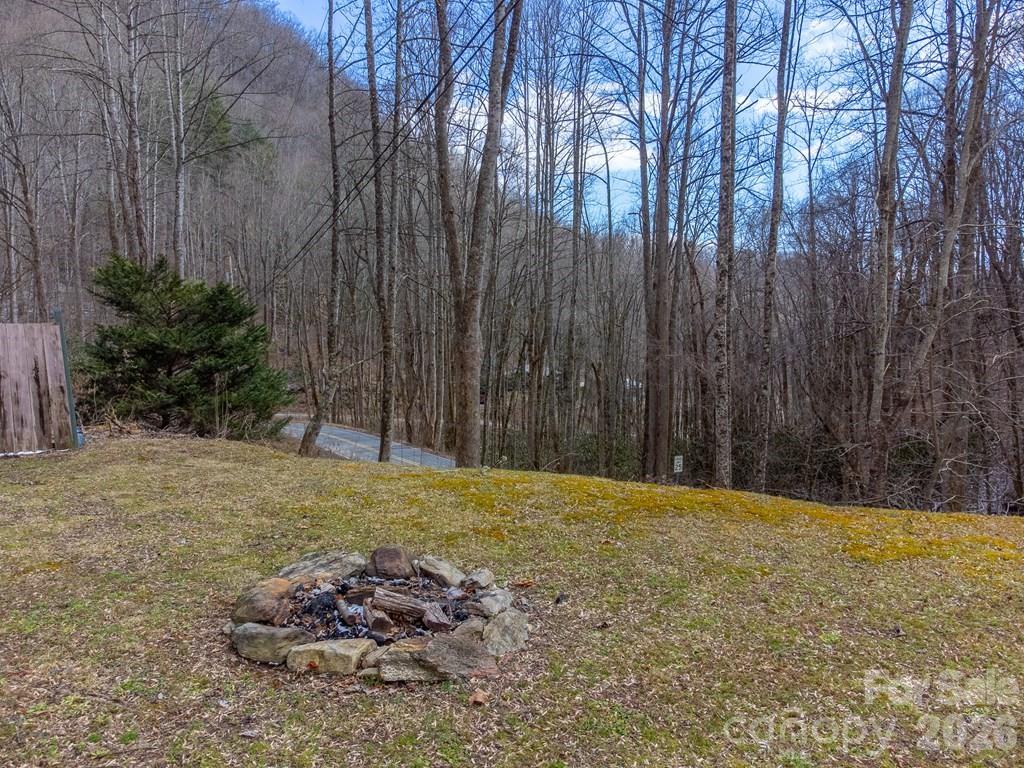 1668 Buff Creek Road — Sylva