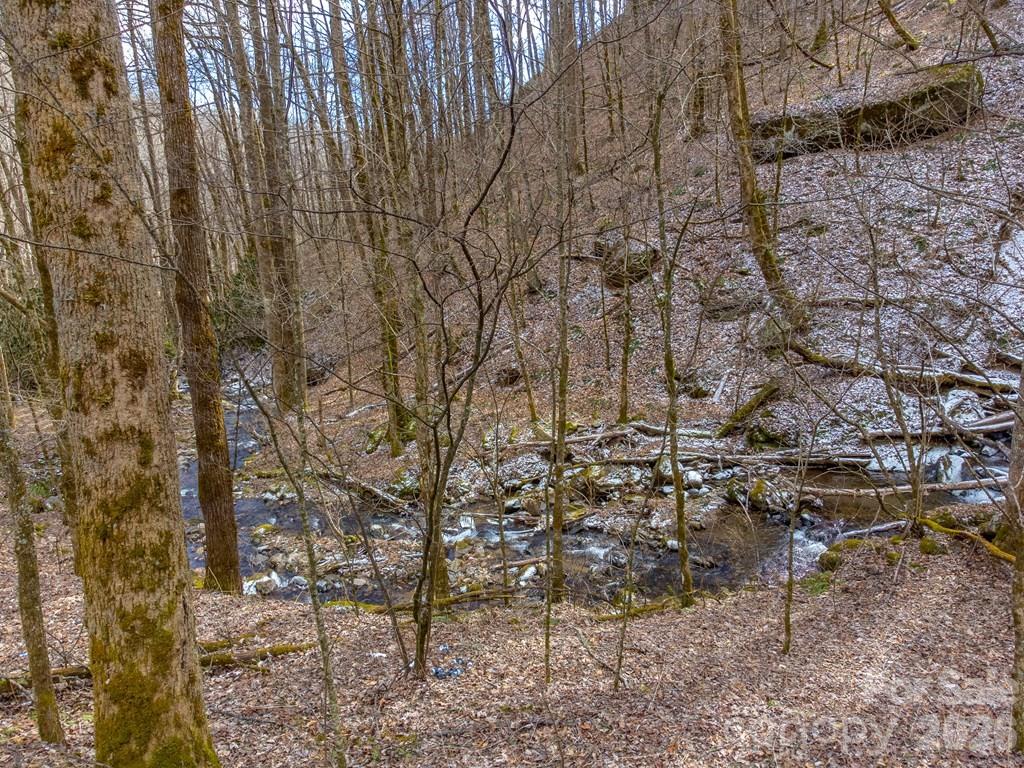 1668 Buff Creek Road — Sylva