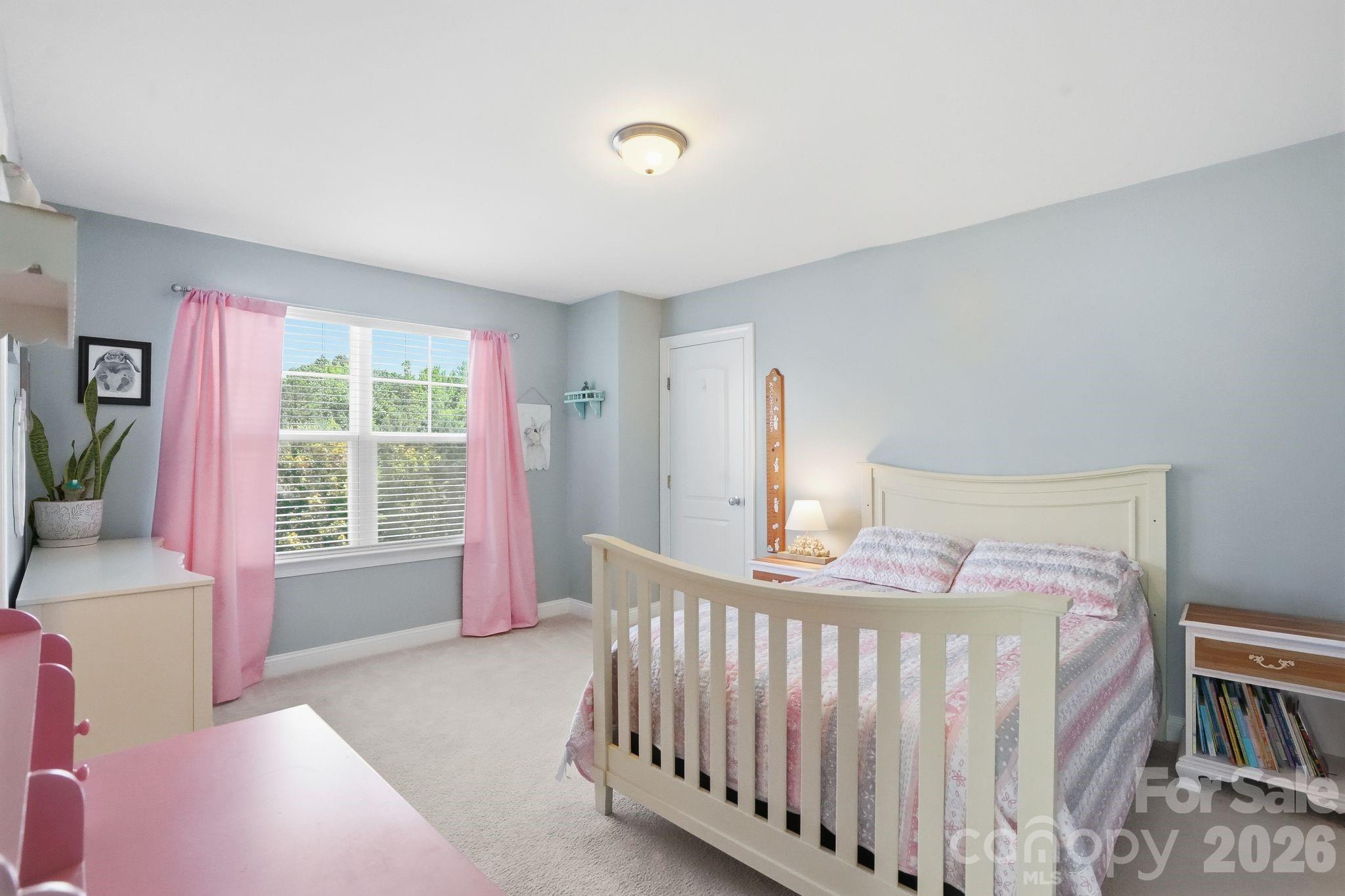 10420 Daufuskie Drive — Charlotte