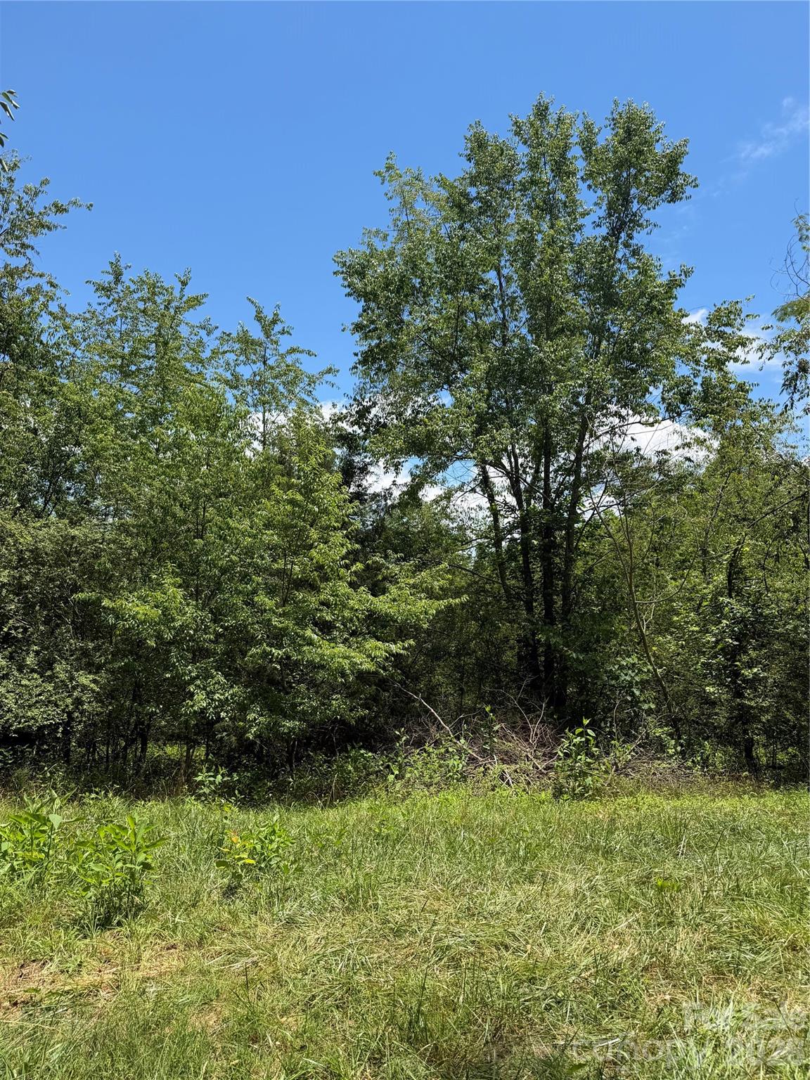 295 Old Mill Road — Lake Lure