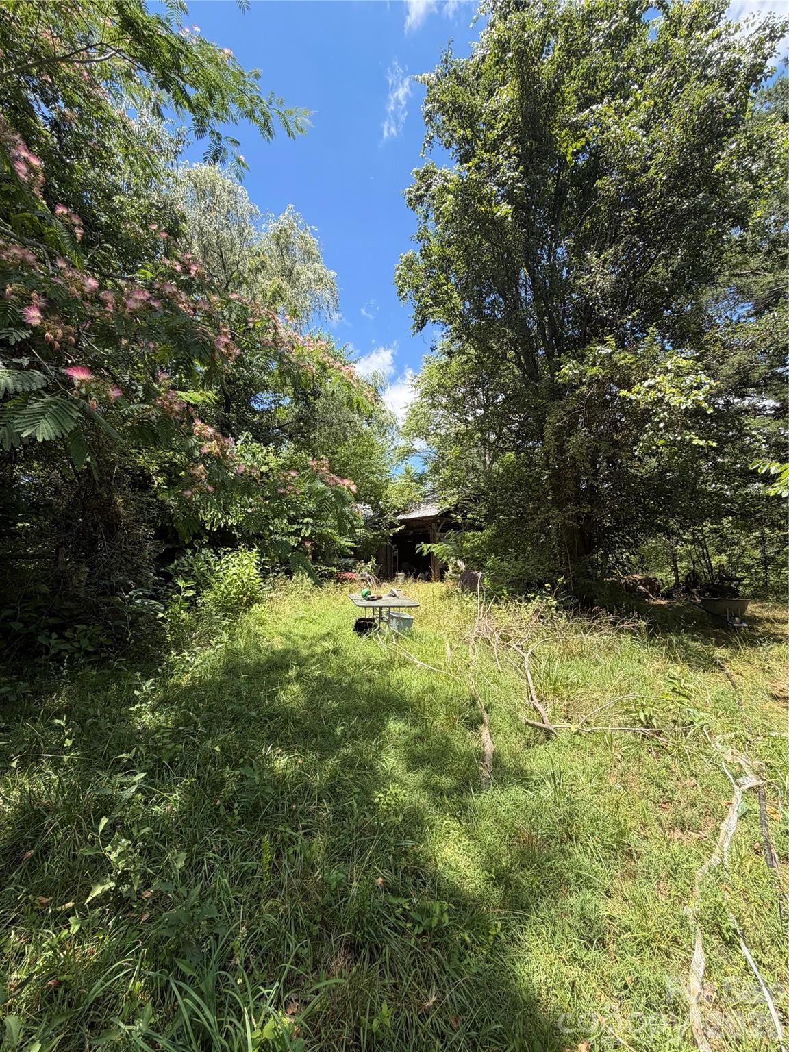 295 Old Mill Road — Lake Lure