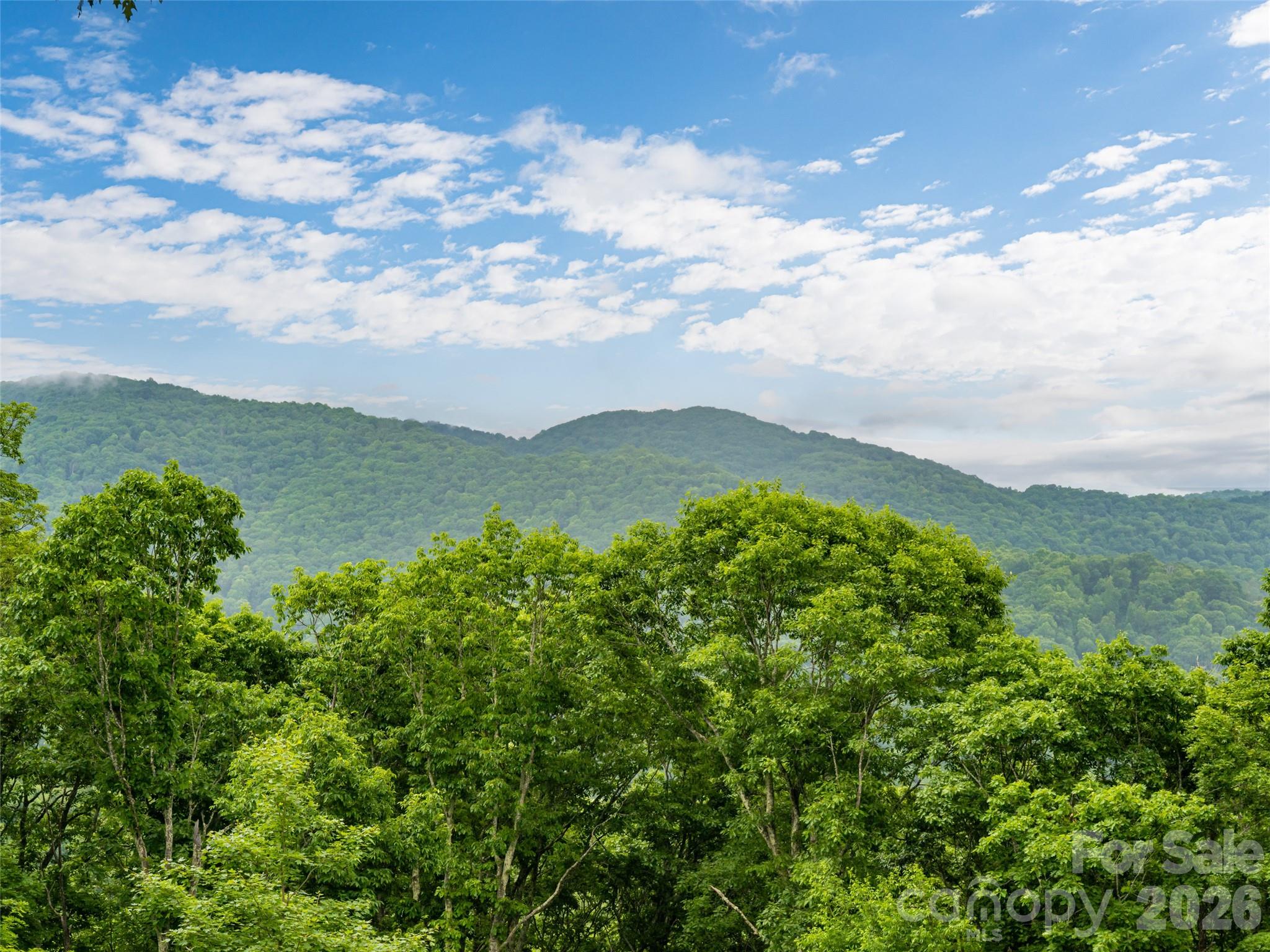 243 Pioneer Ridge Road — Canton