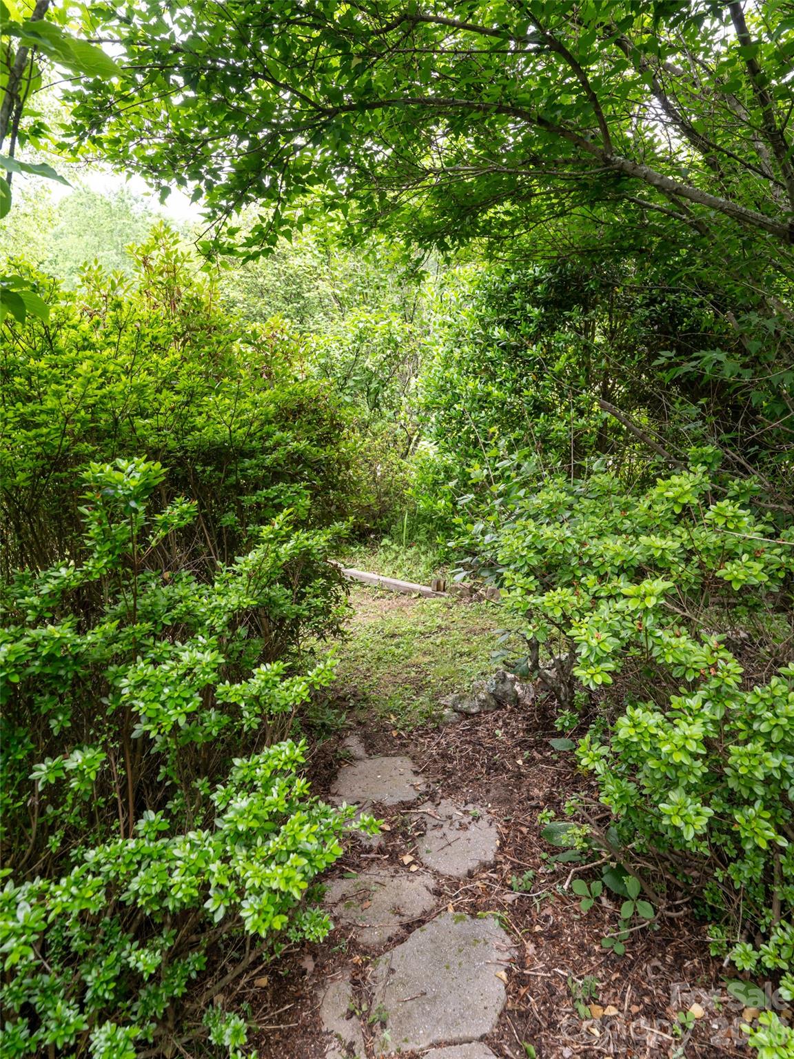 243 Pioneer Ridge Road — Canton
