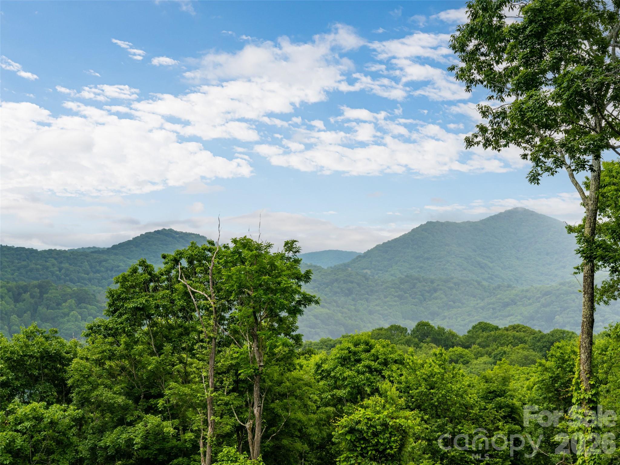 243 Pioneer Ridge Road — Canton
