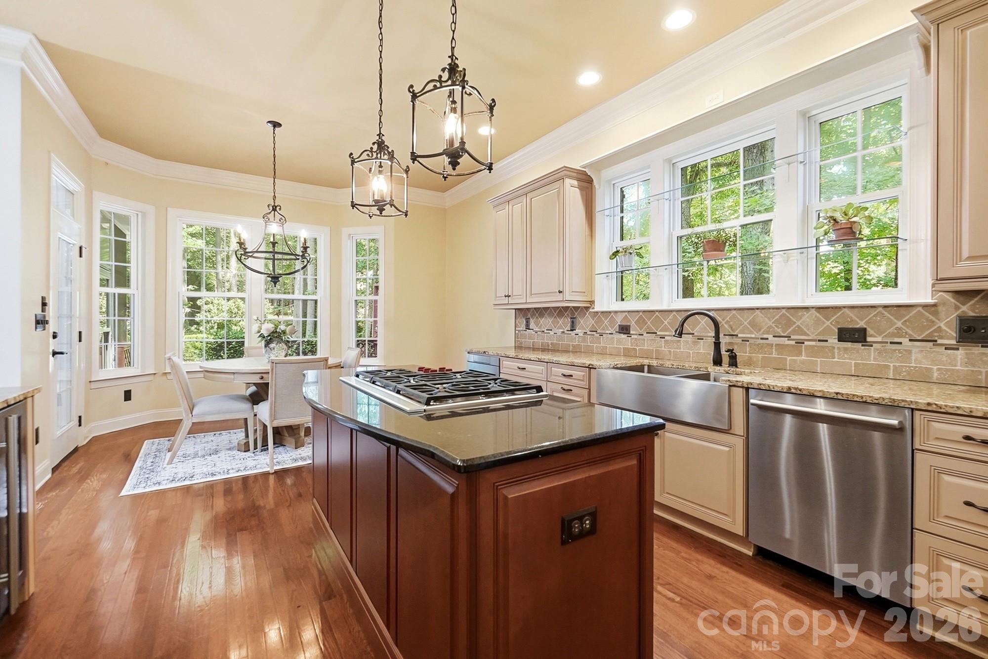 3529 Mountain Cove Drive — Charlotte