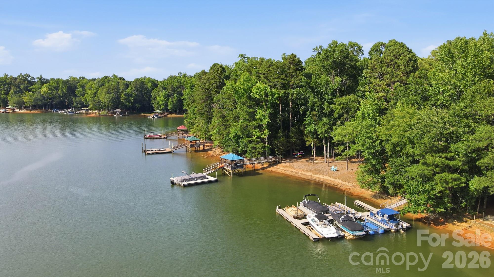 3529 Mountain Cove Drive — Charlotte