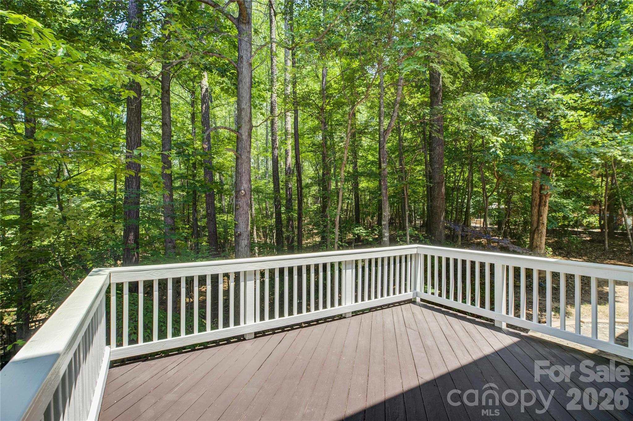 14125 Montecastillo Place — Charlotte