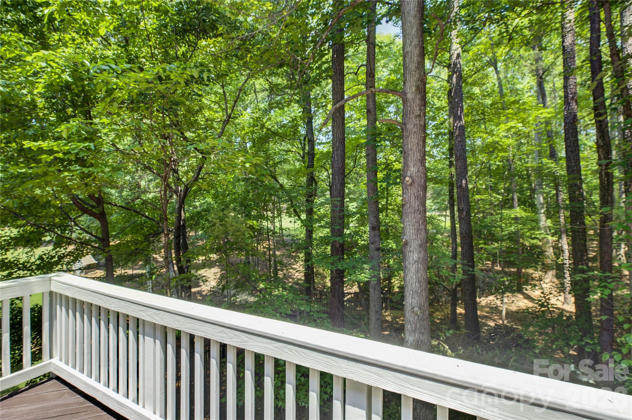 14125 Montecastillo Place — Charlotte