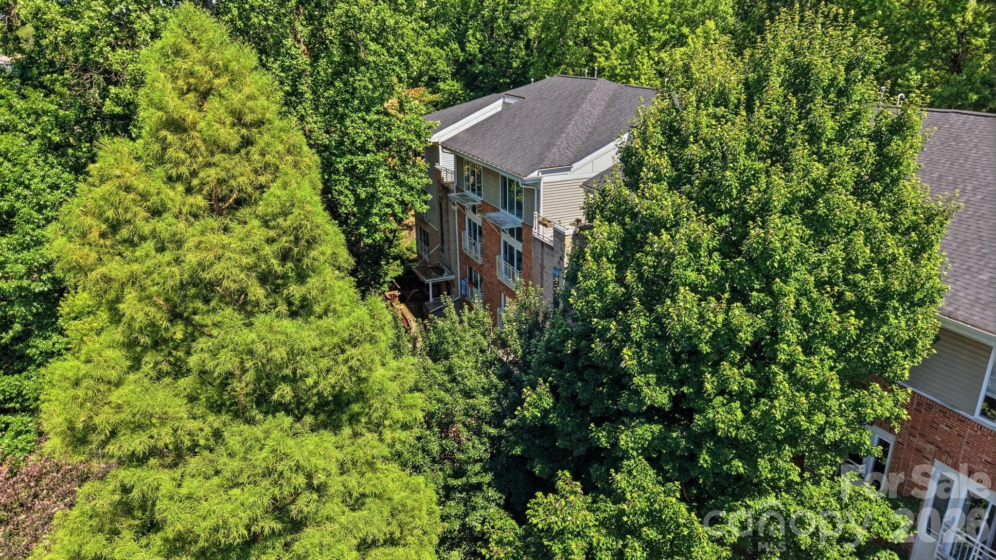 3825 Picasso Court — Charlotte