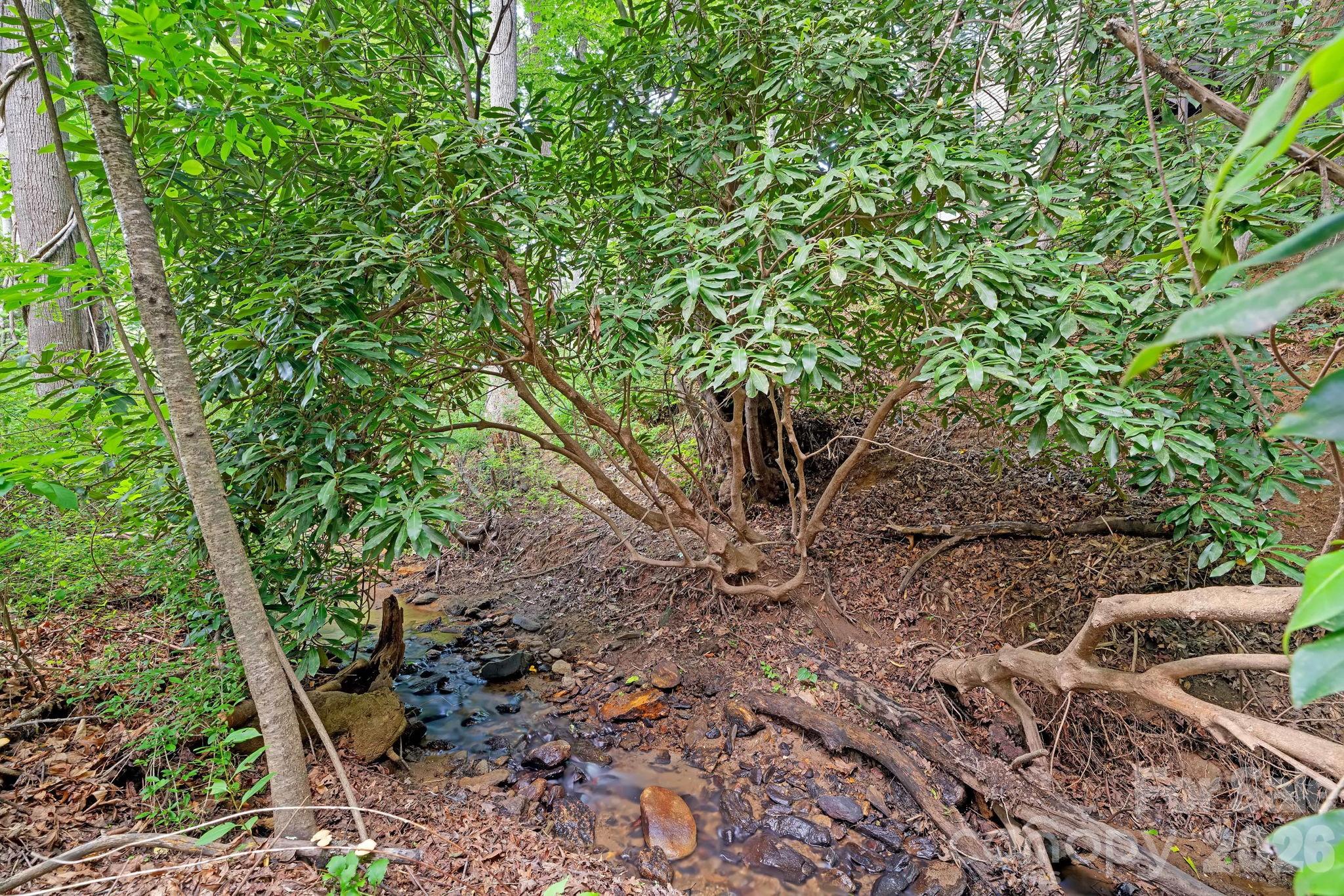 36 Poplar Creek Drive — Asheville