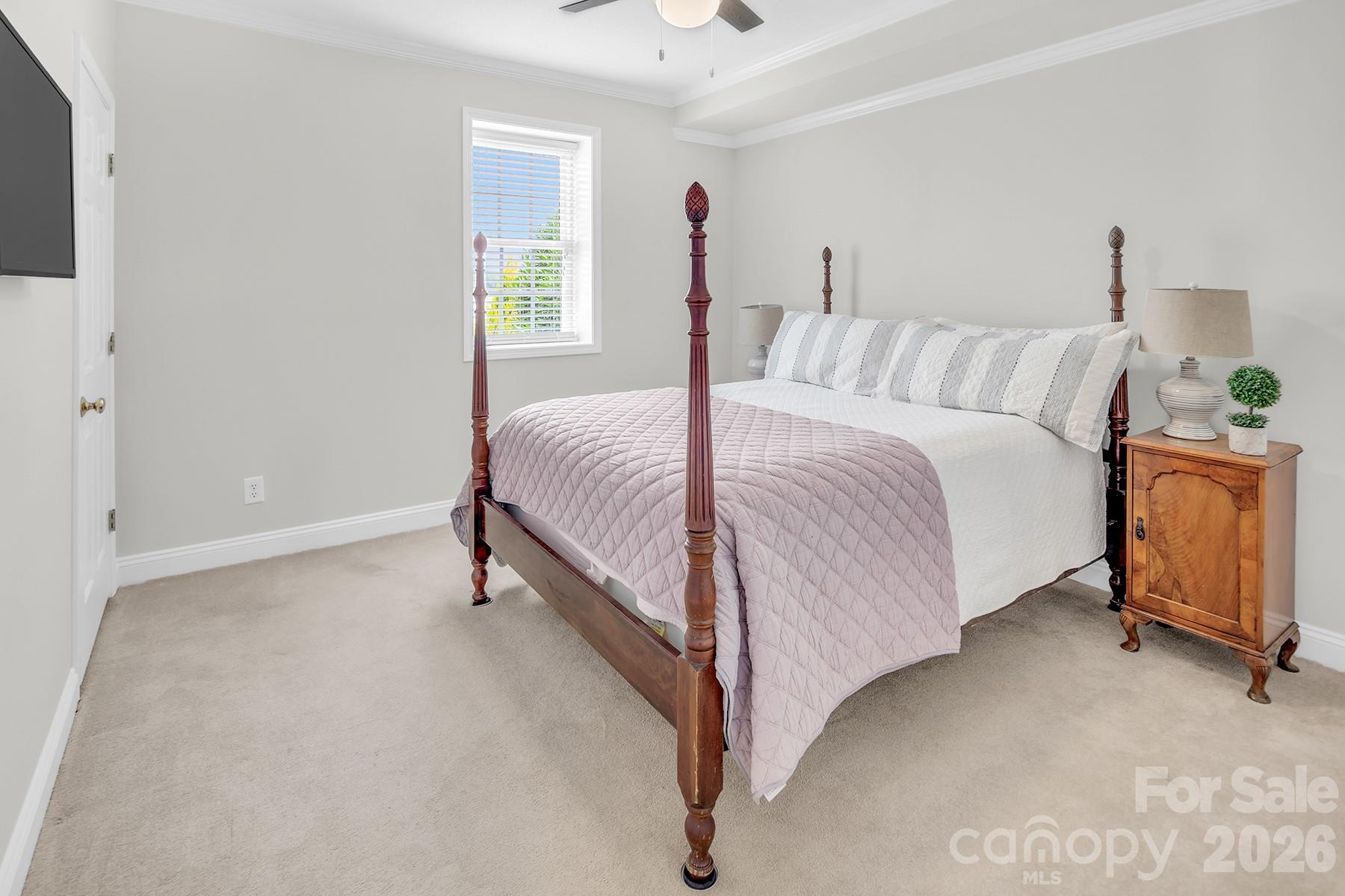 50520 Wood Duck Lane — Albemarle