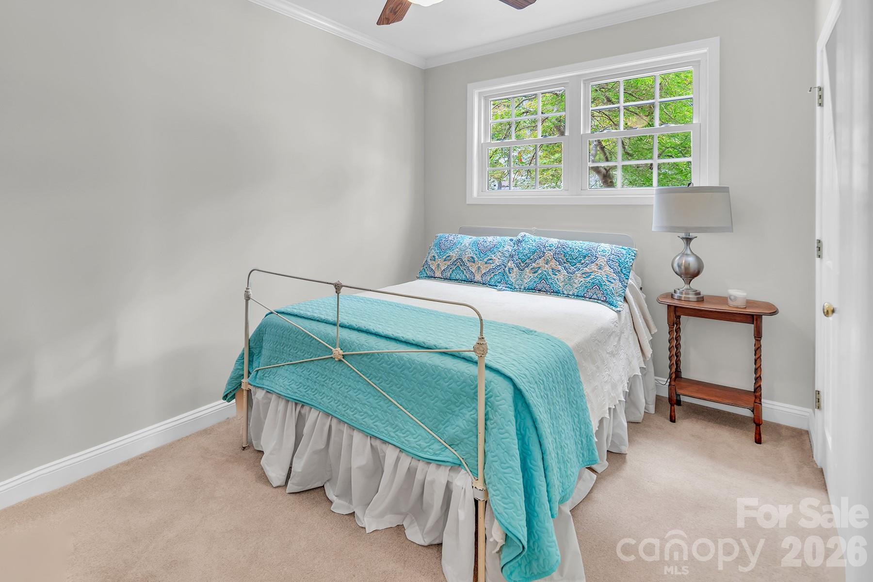 50520 Wood Duck Lane — Albemarle