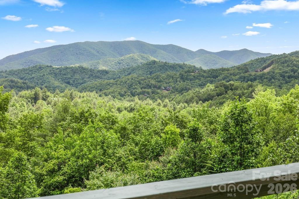1188 Tobacco Branch Road — Almond