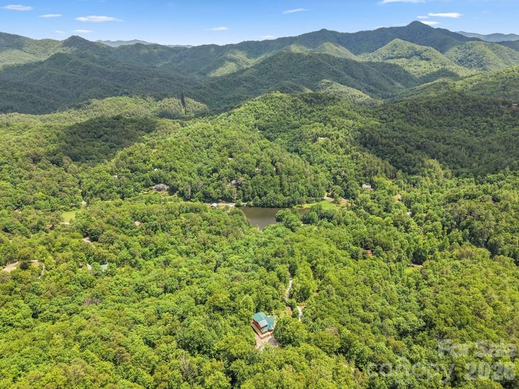 1188 Tobacco Branch Road — Almond