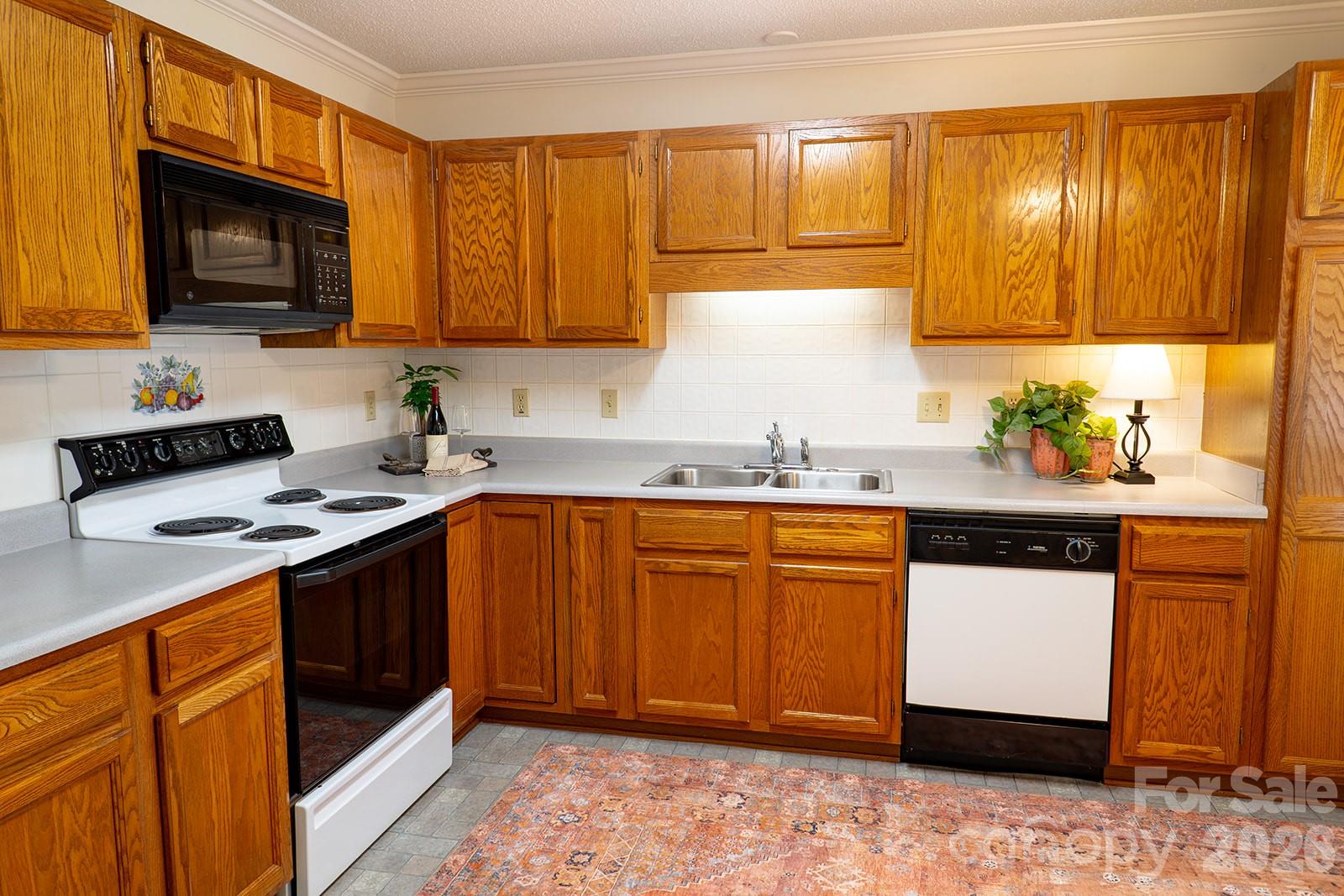 102 Rough Point Court — Asheville