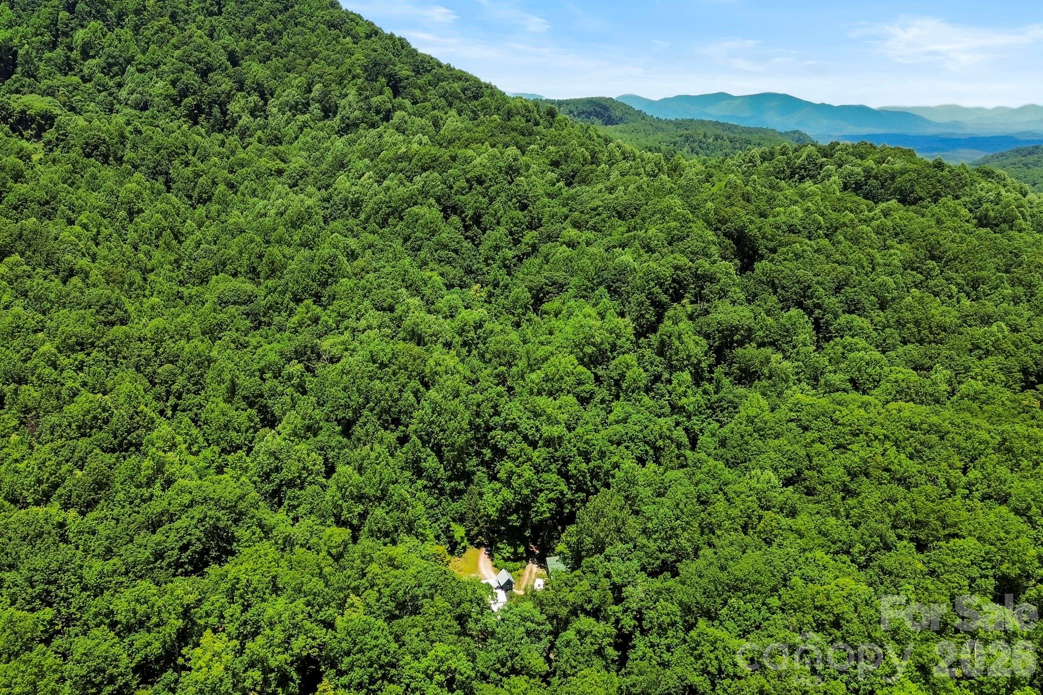 173 Camp Elliott Road — Black Mountain