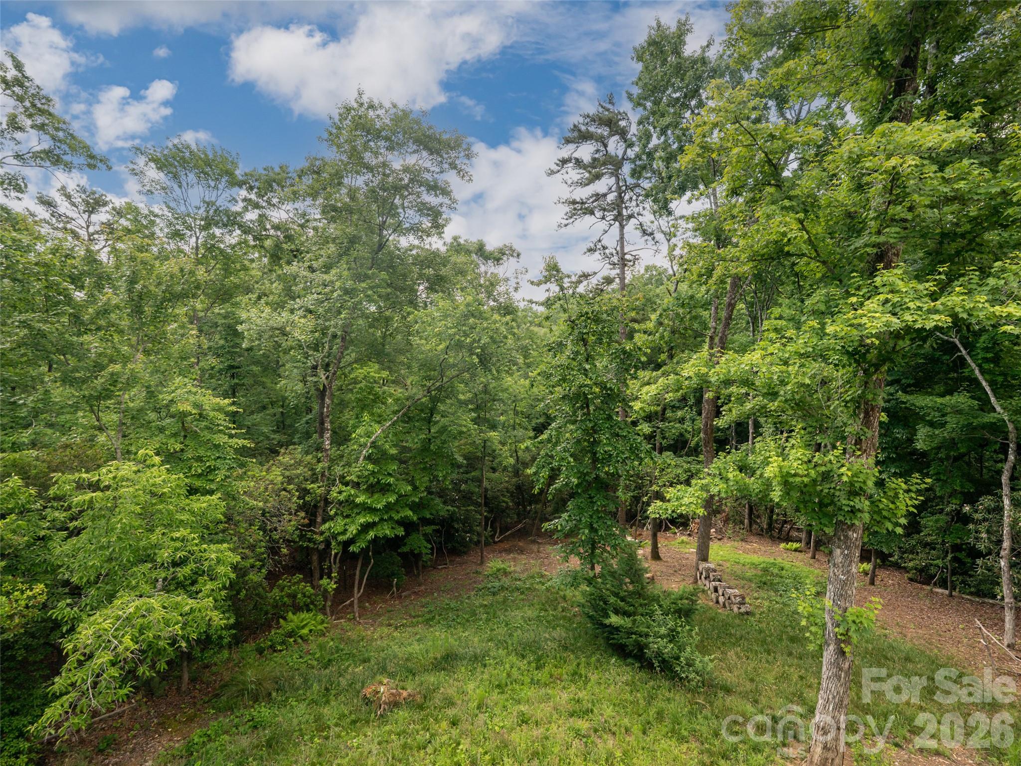 78 Boyd View Lane — Mills River