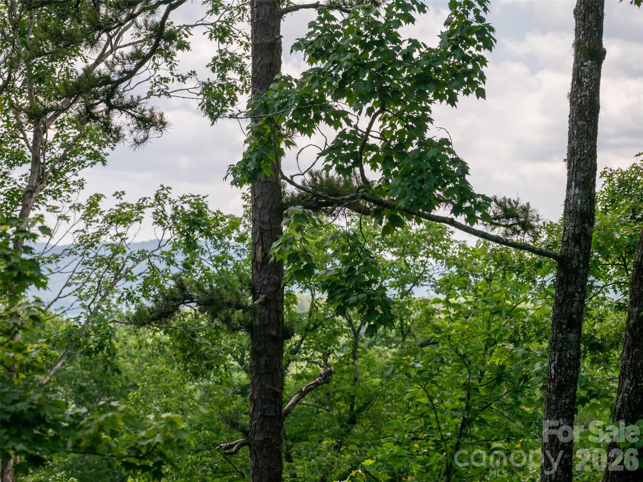 78 Boyd View Lane — Mills River