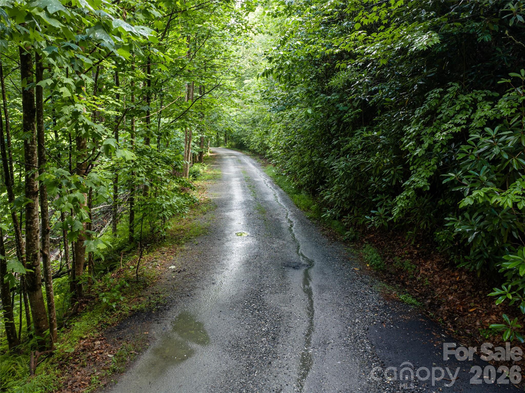 78 Boyd View Lane — Mills River