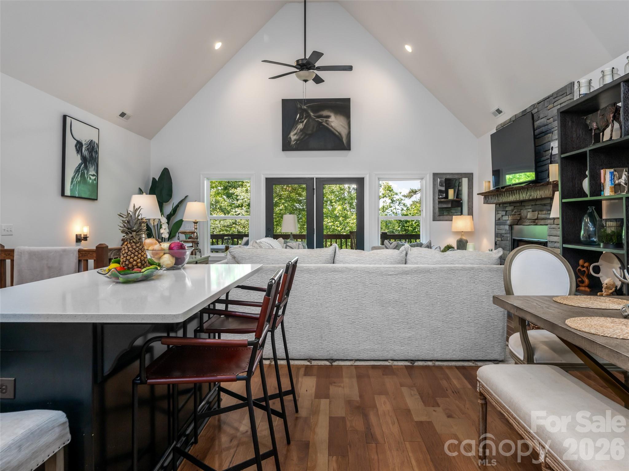 78 Boyd View Lane — Mills River