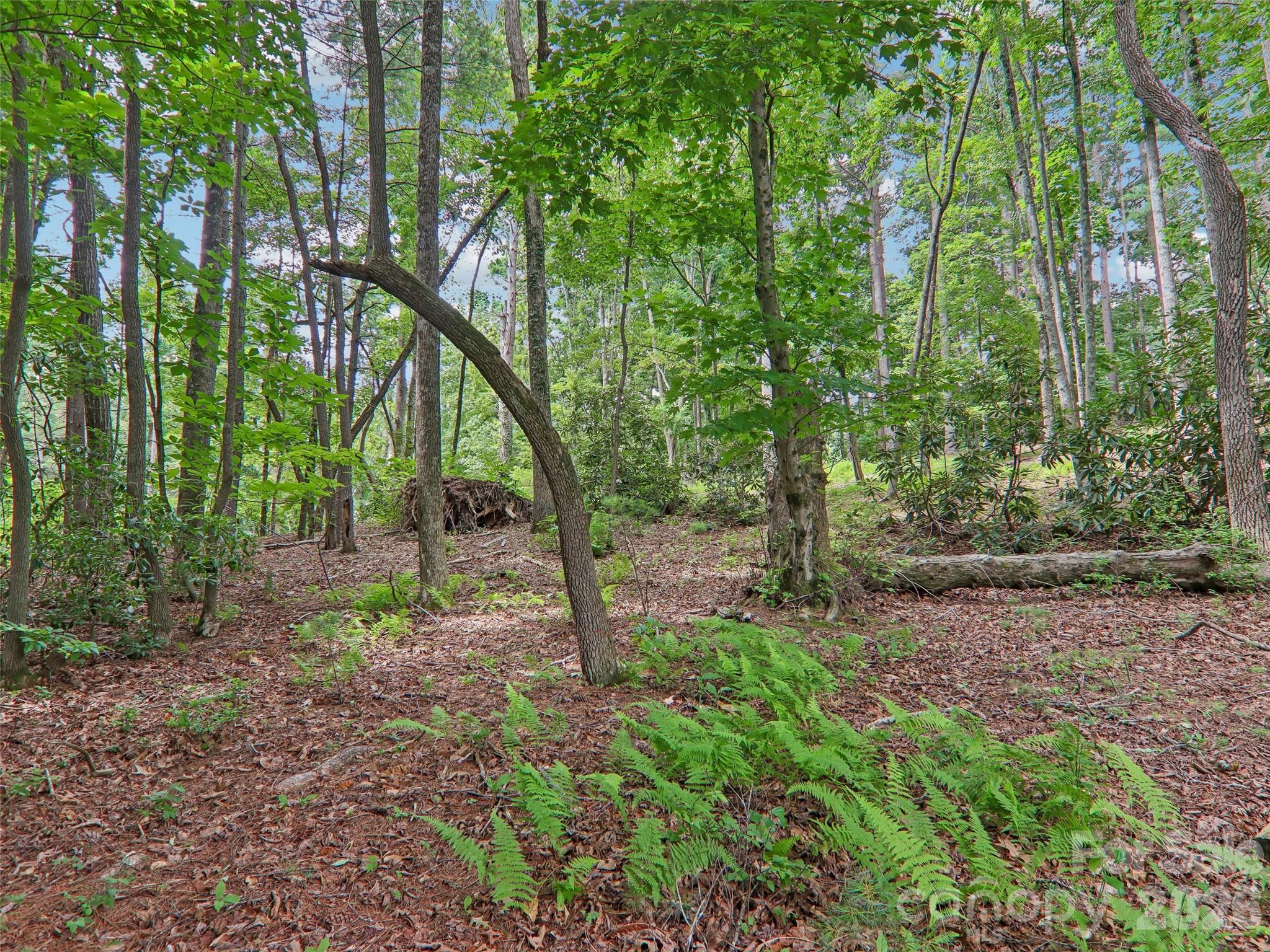 3106 Essex Path — Hendersonville