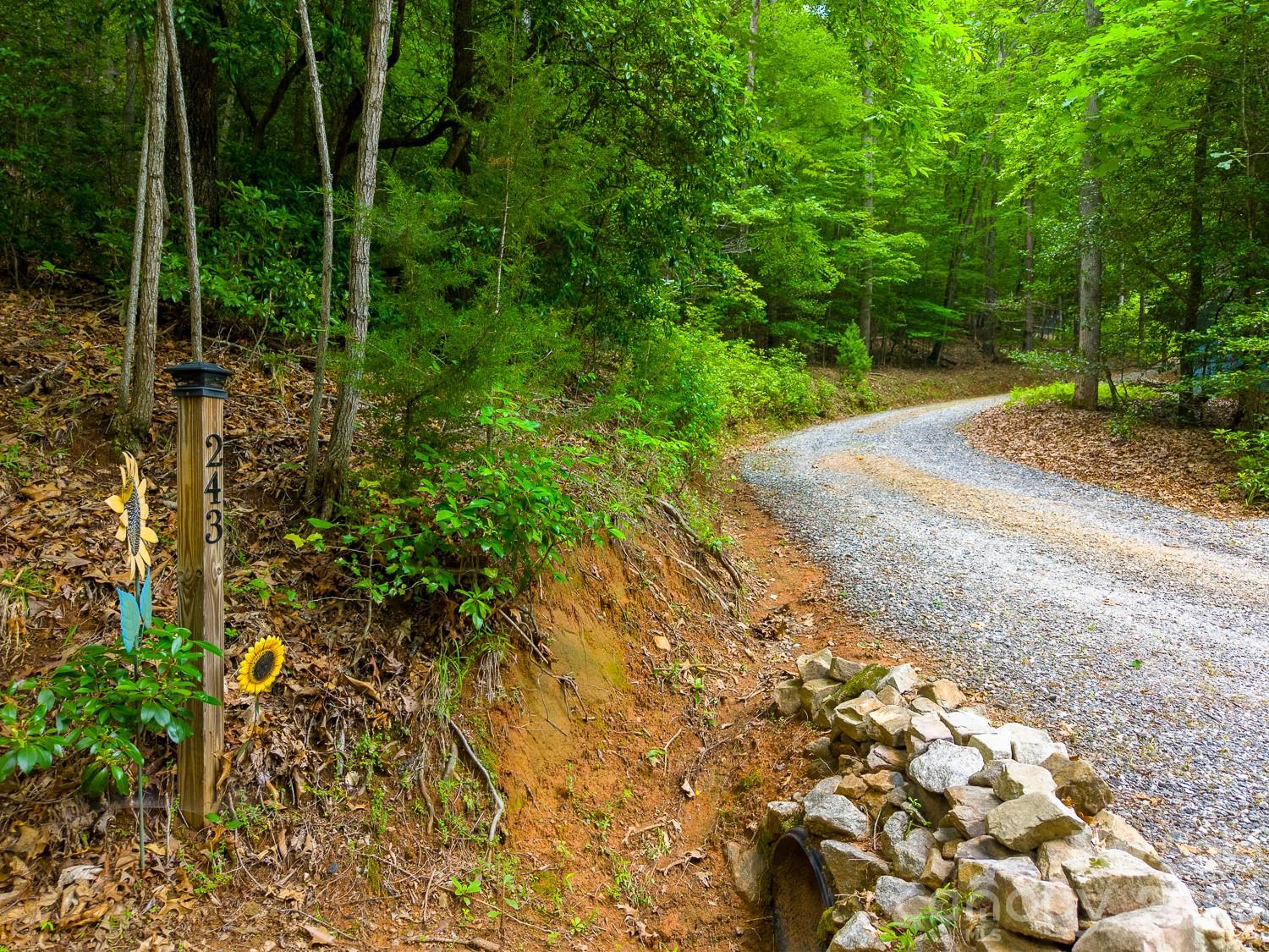 243 Jonquil Woods Road — Franklin