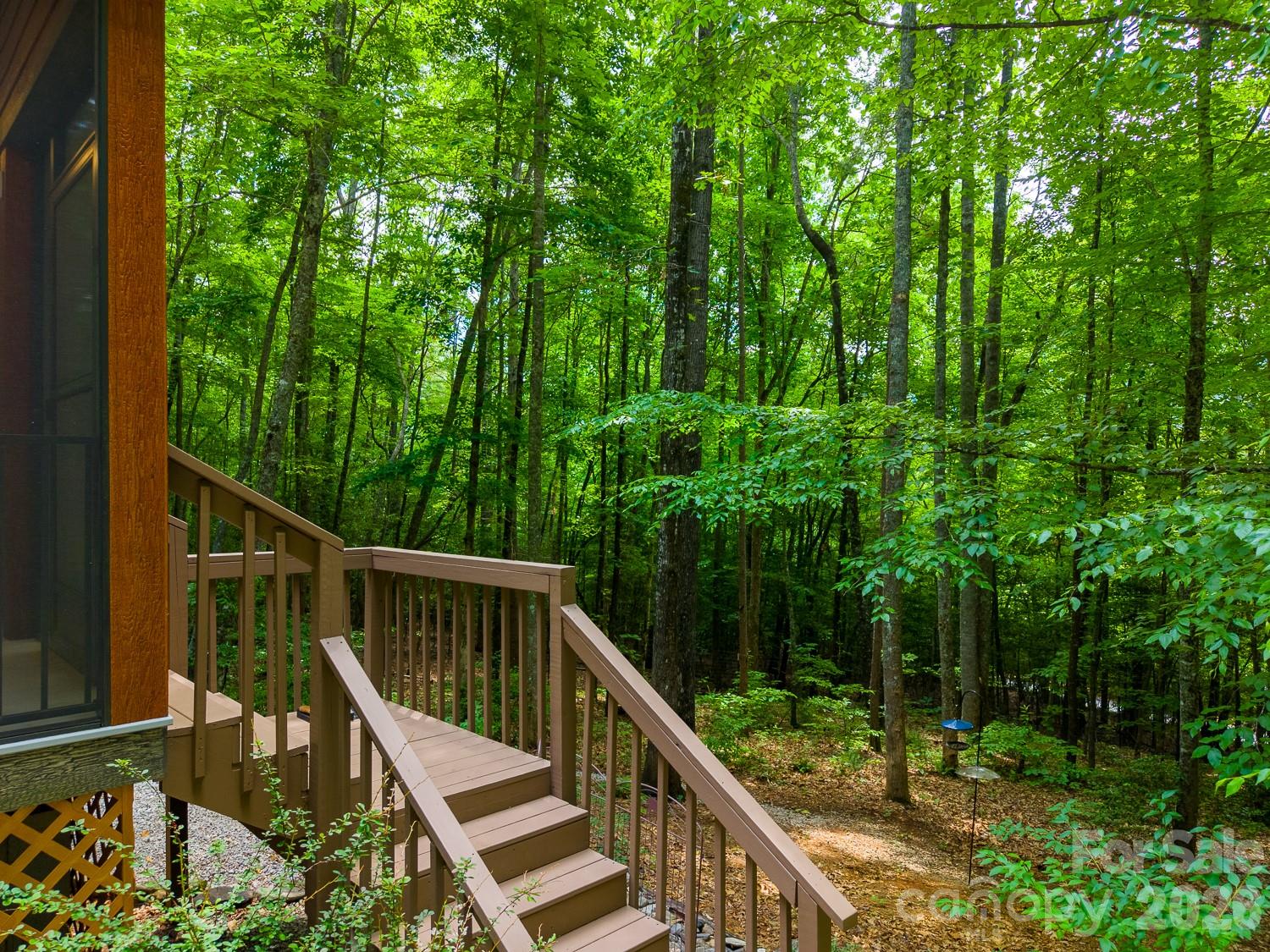 243 Jonquil Woods Road — Franklin