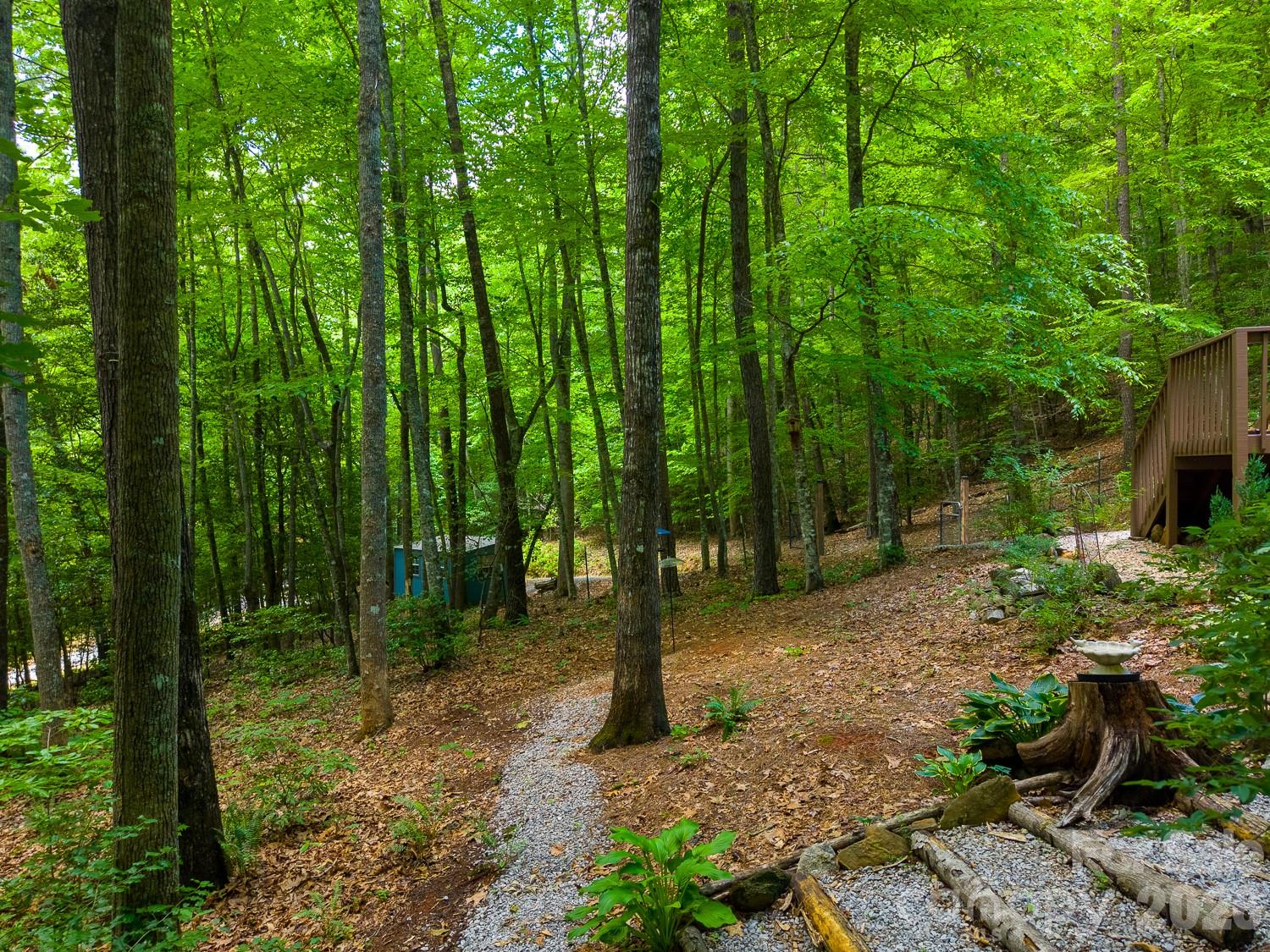 243 Jonquil Woods Road — Franklin