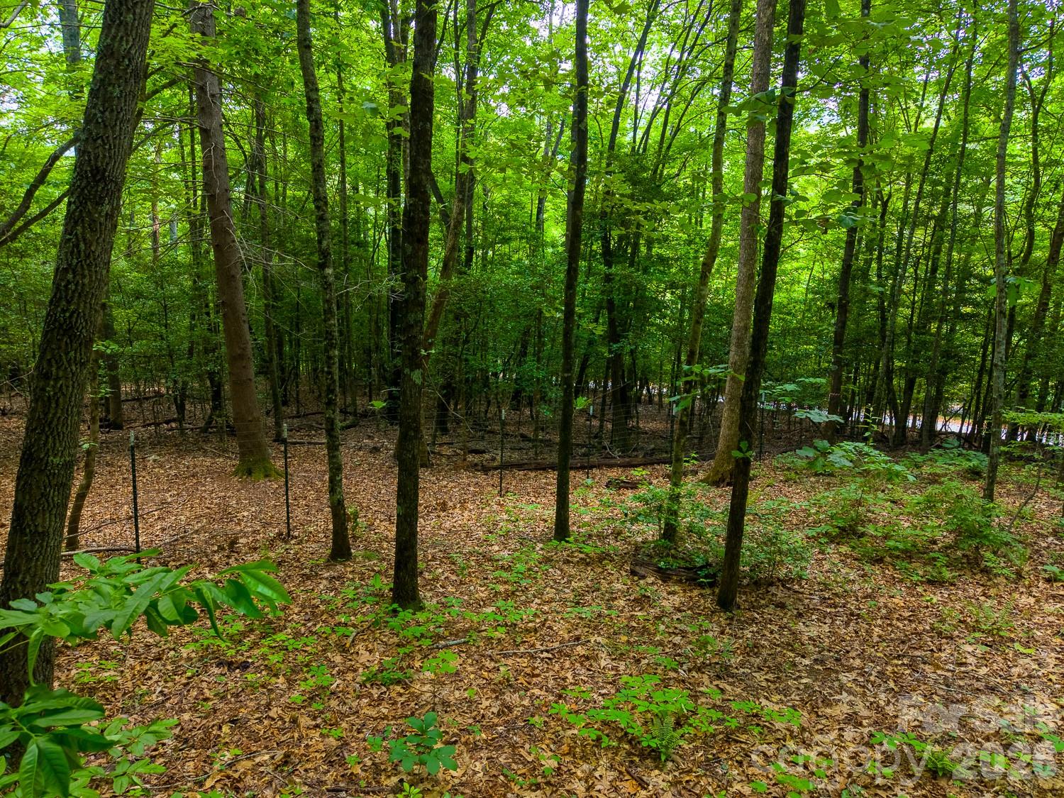 243 Jonquil Woods Road — Franklin
