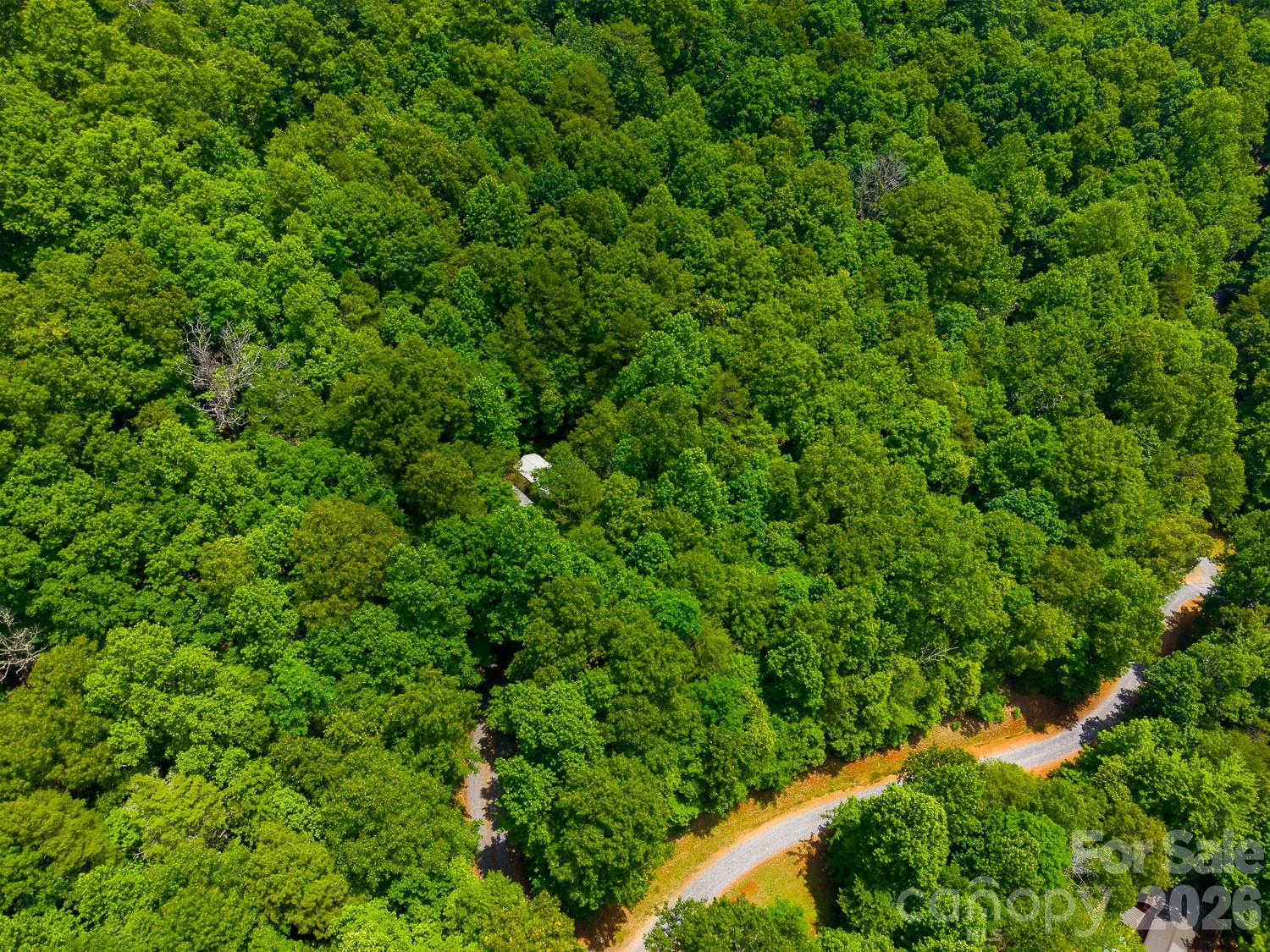 243 Jonquil Woods Road — Franklin