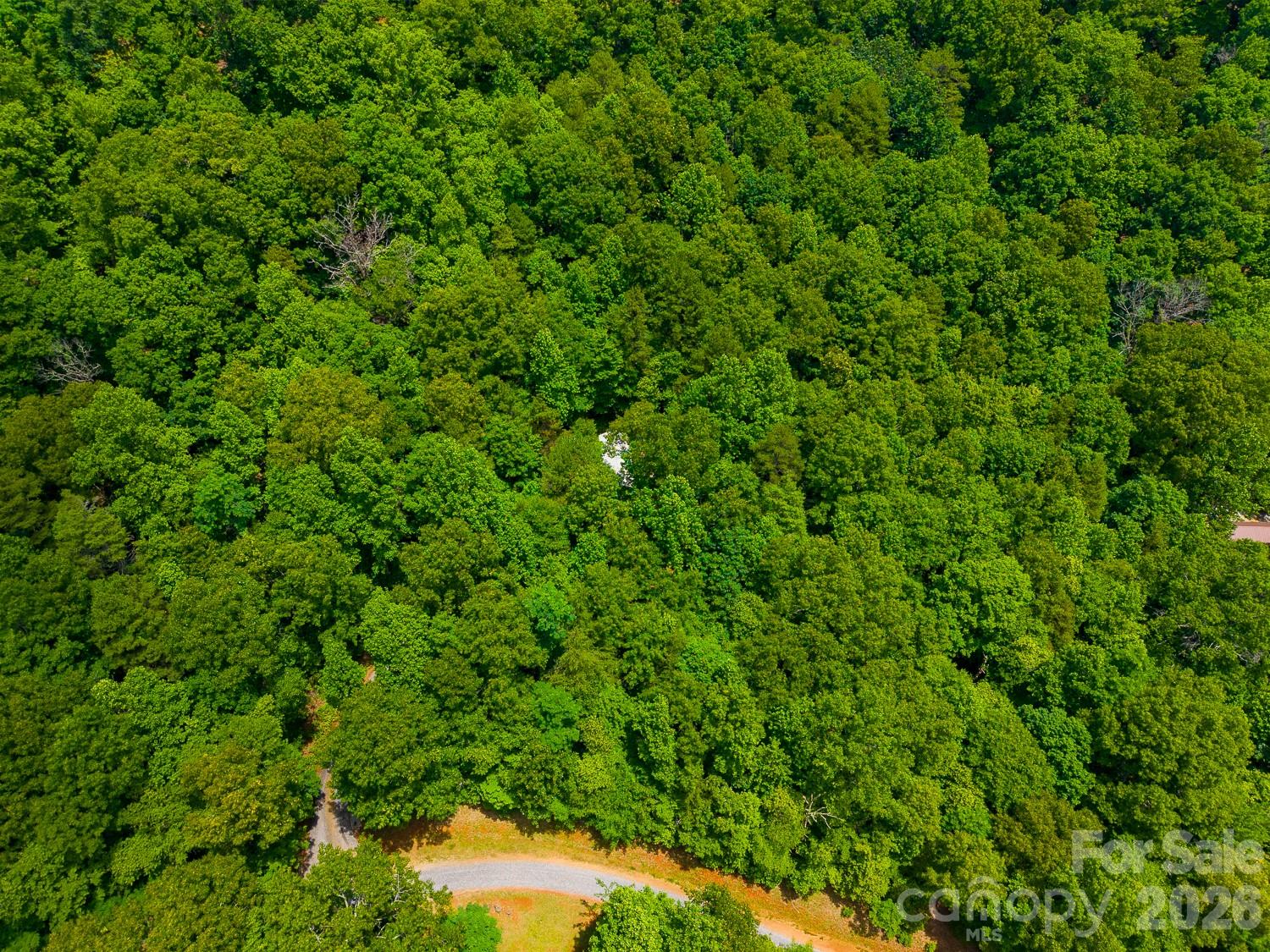 243 Jonquil Woods Road — Franklin