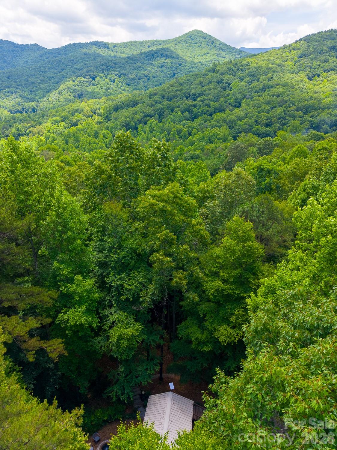 243 Jonquil Woods Road — Franklin