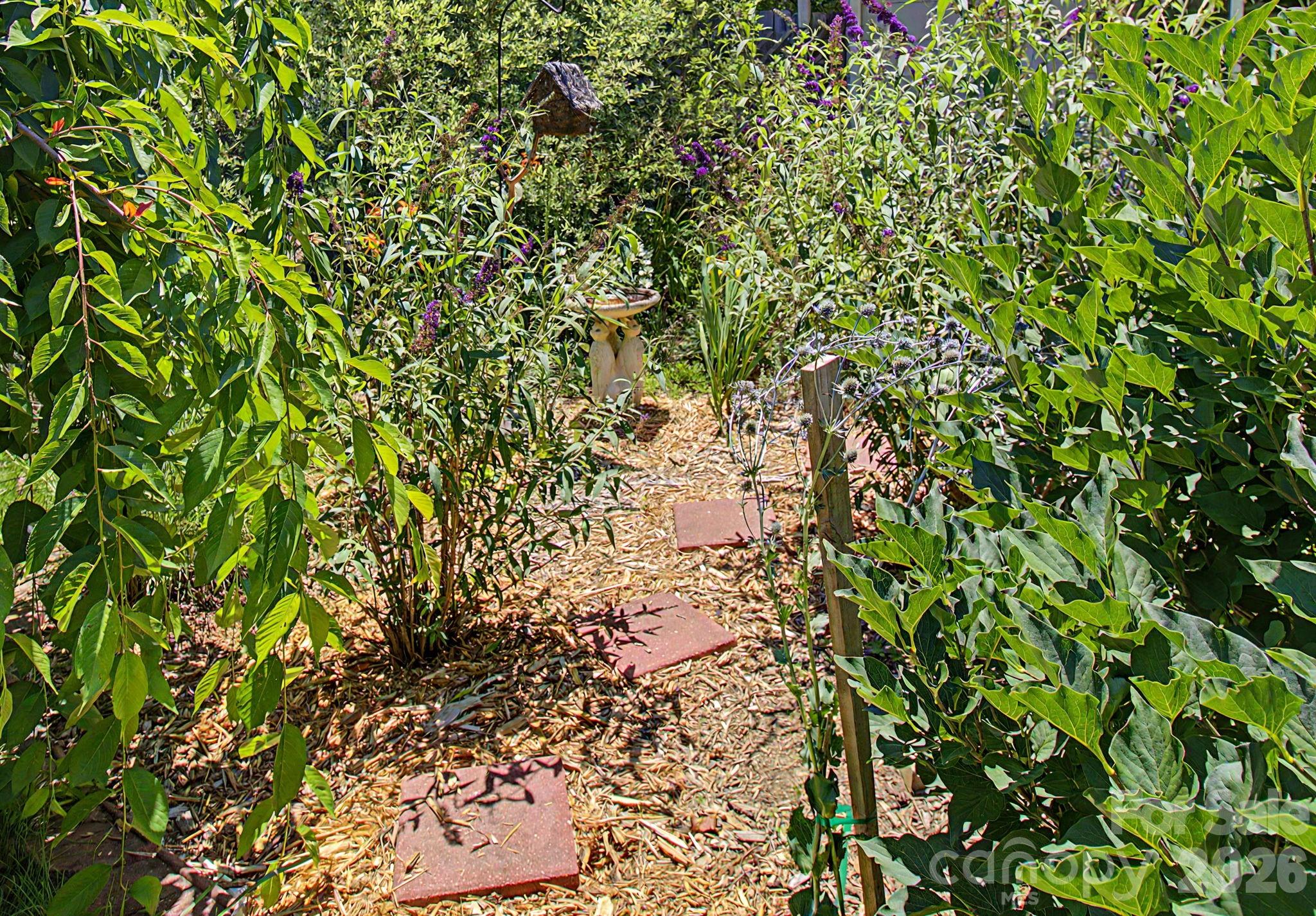 102 Wicklow Drive — Asheville