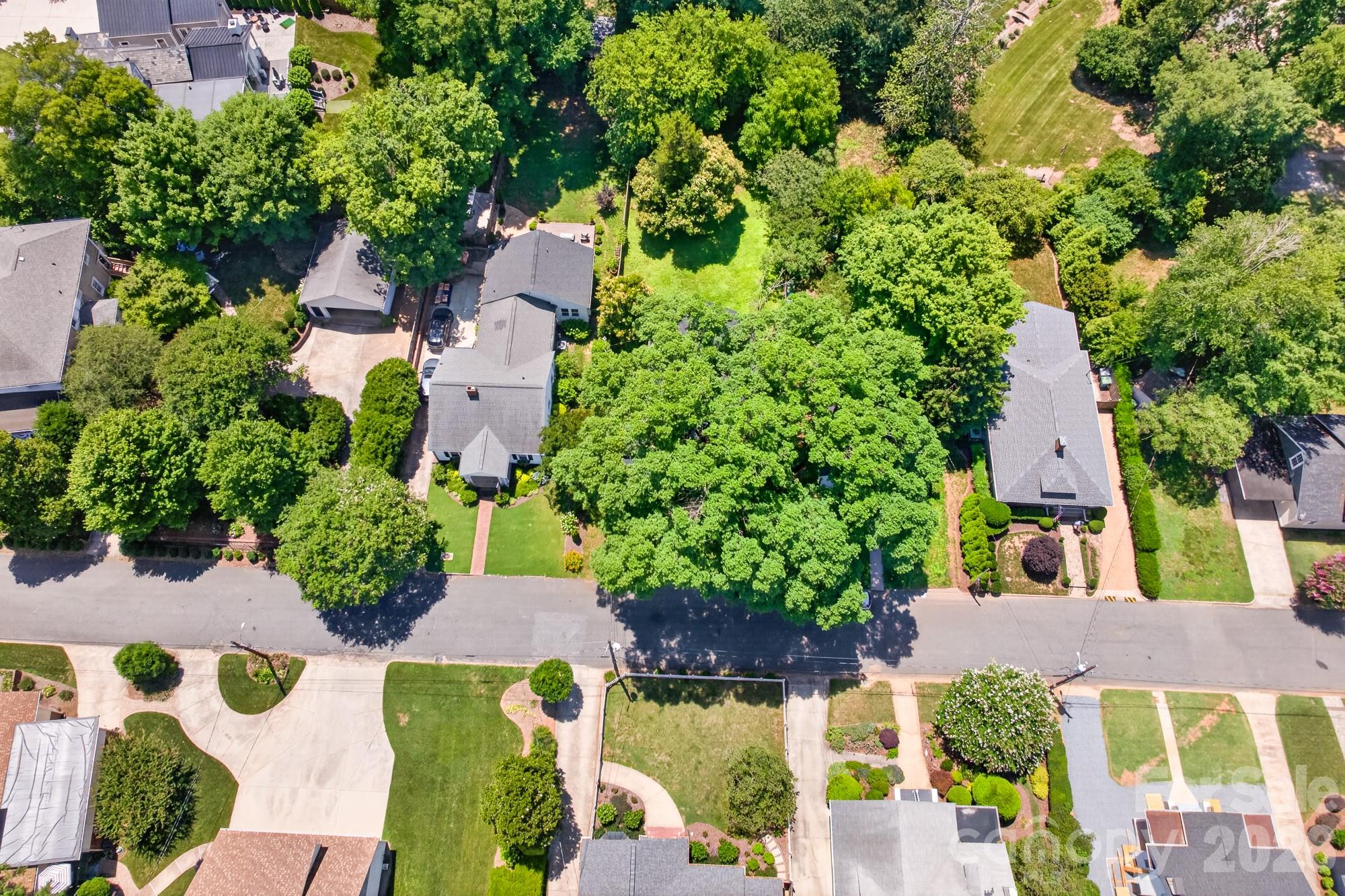 11 Cedar Street — Belmont