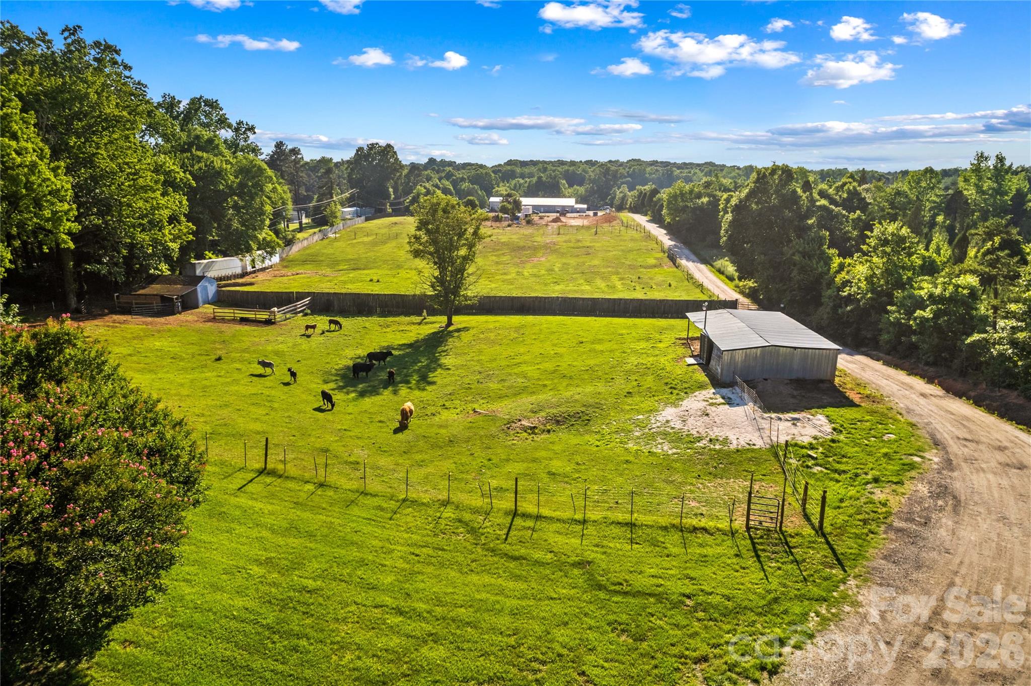 1124 Majolica Road — Salisbury